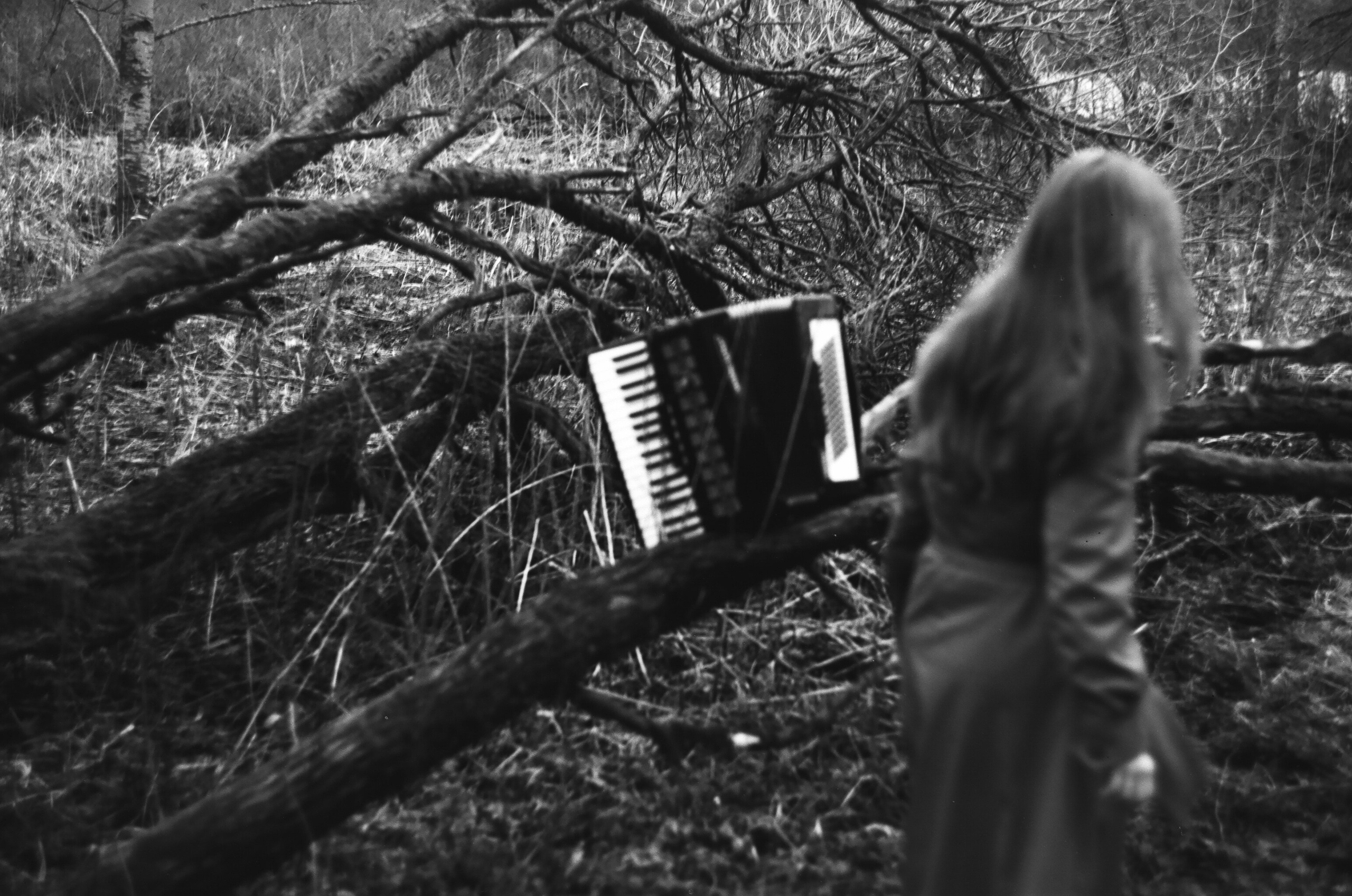 Akkordeon. Портретный фотограф в Санкт-Петербурге Ольга Муранова