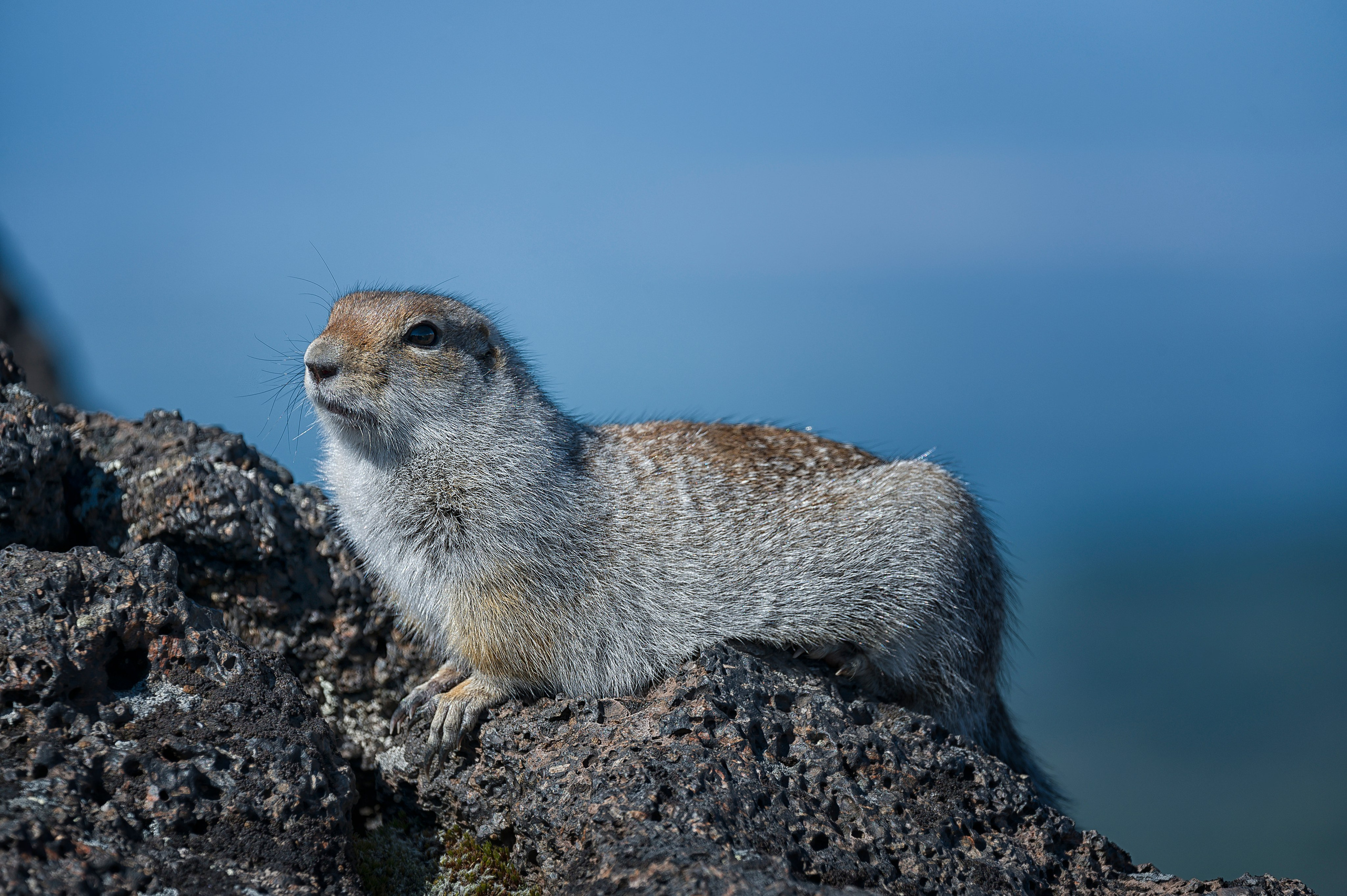 Камчатка. Портретный фотограф в Челябинске Катерина Руди