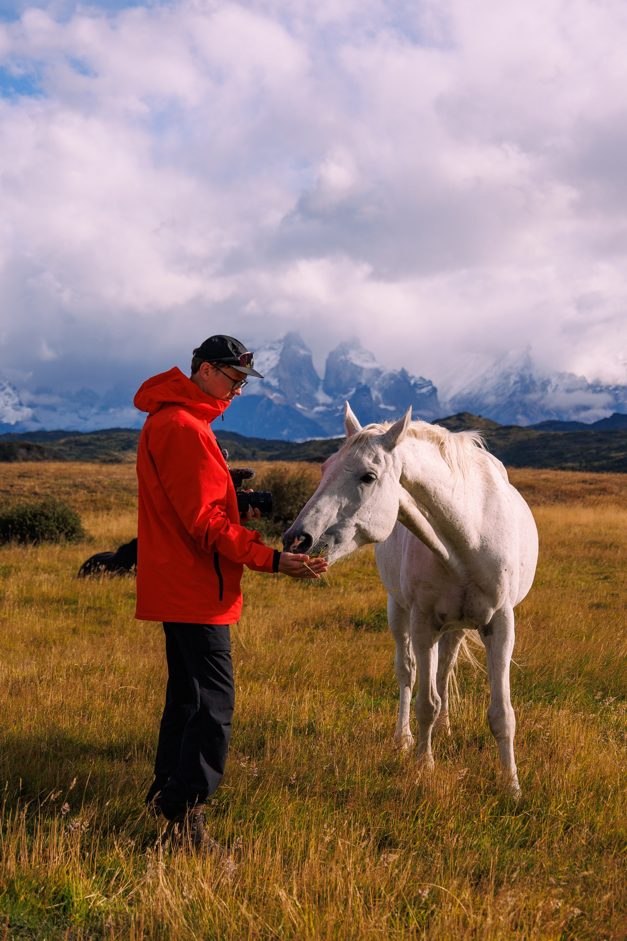 Путешествия