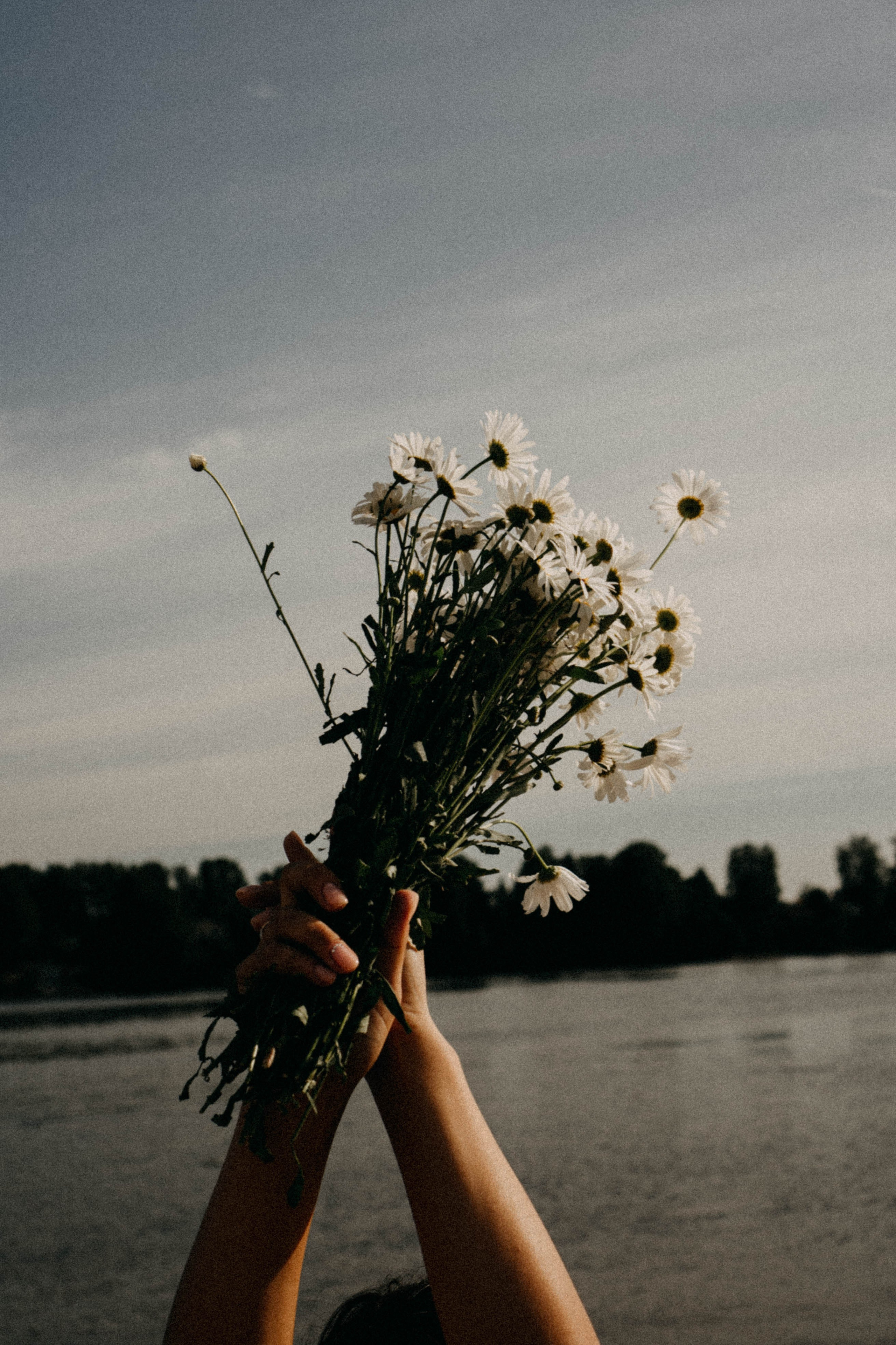 Летняя прогулка. Профессиональный фотограф, Санкт-Петербург — Виктория Богомолова