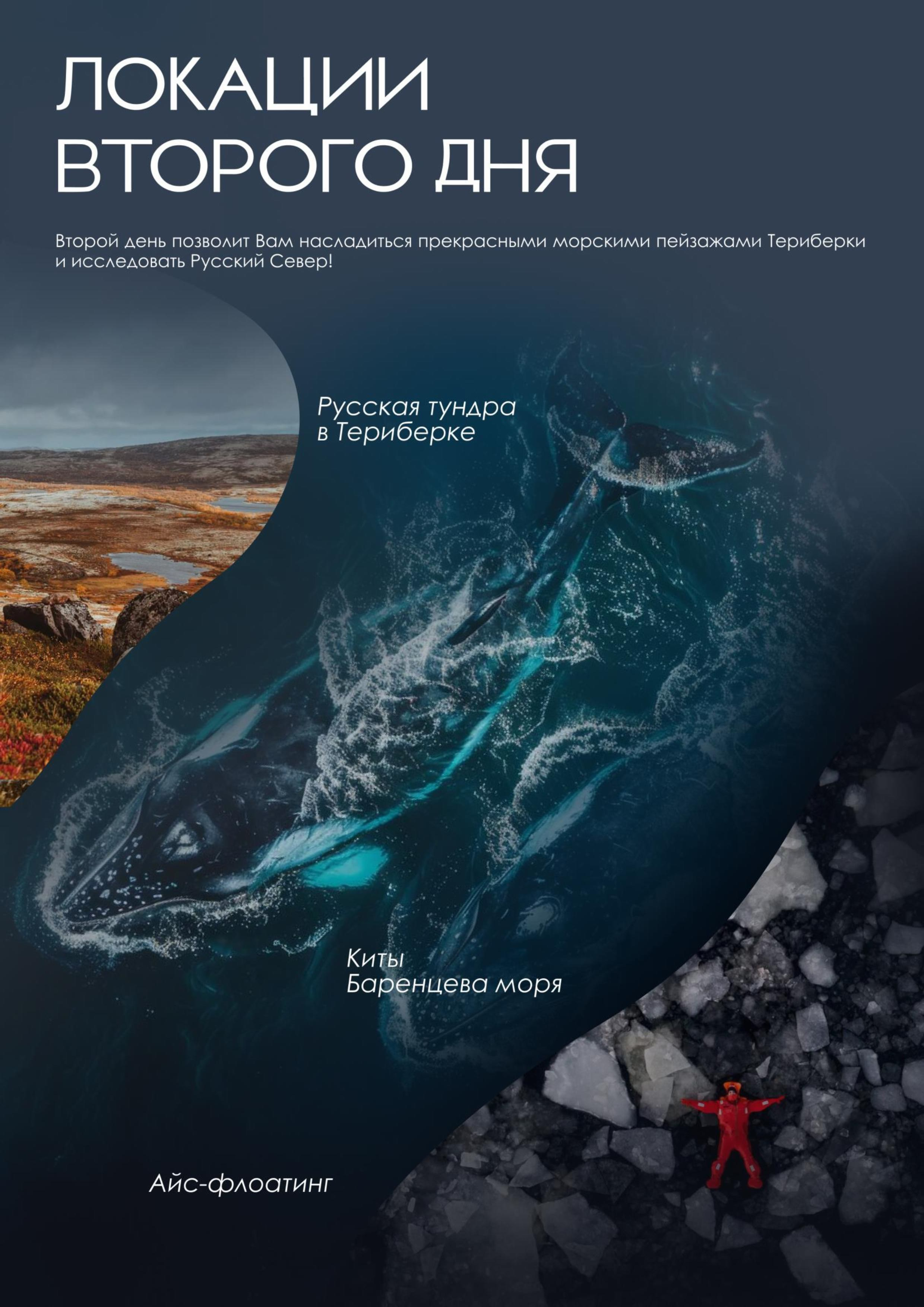 Мурманск | осень