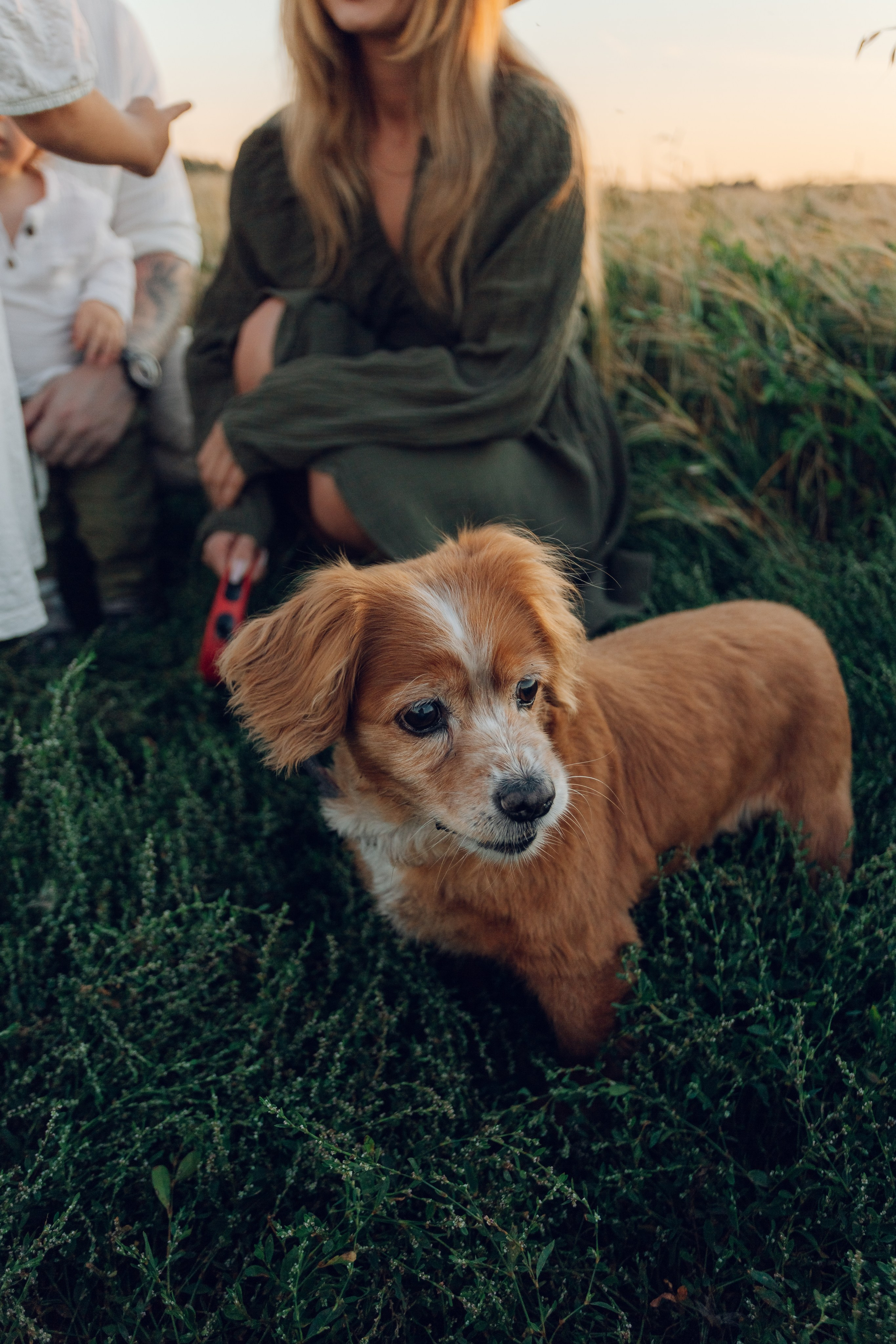Поле. Семейный и художественный фотограф в Тюмени Юлия Логинова