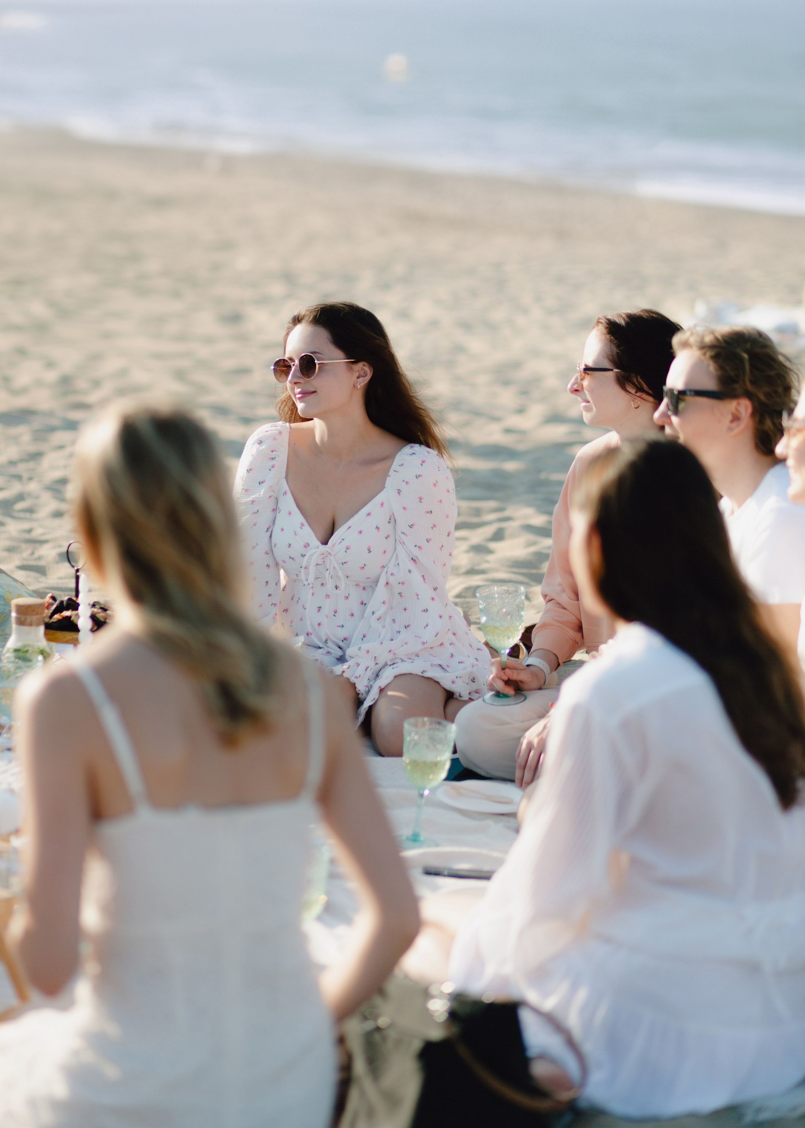 Seaside Bliss Picnic. Barbara Isaeva