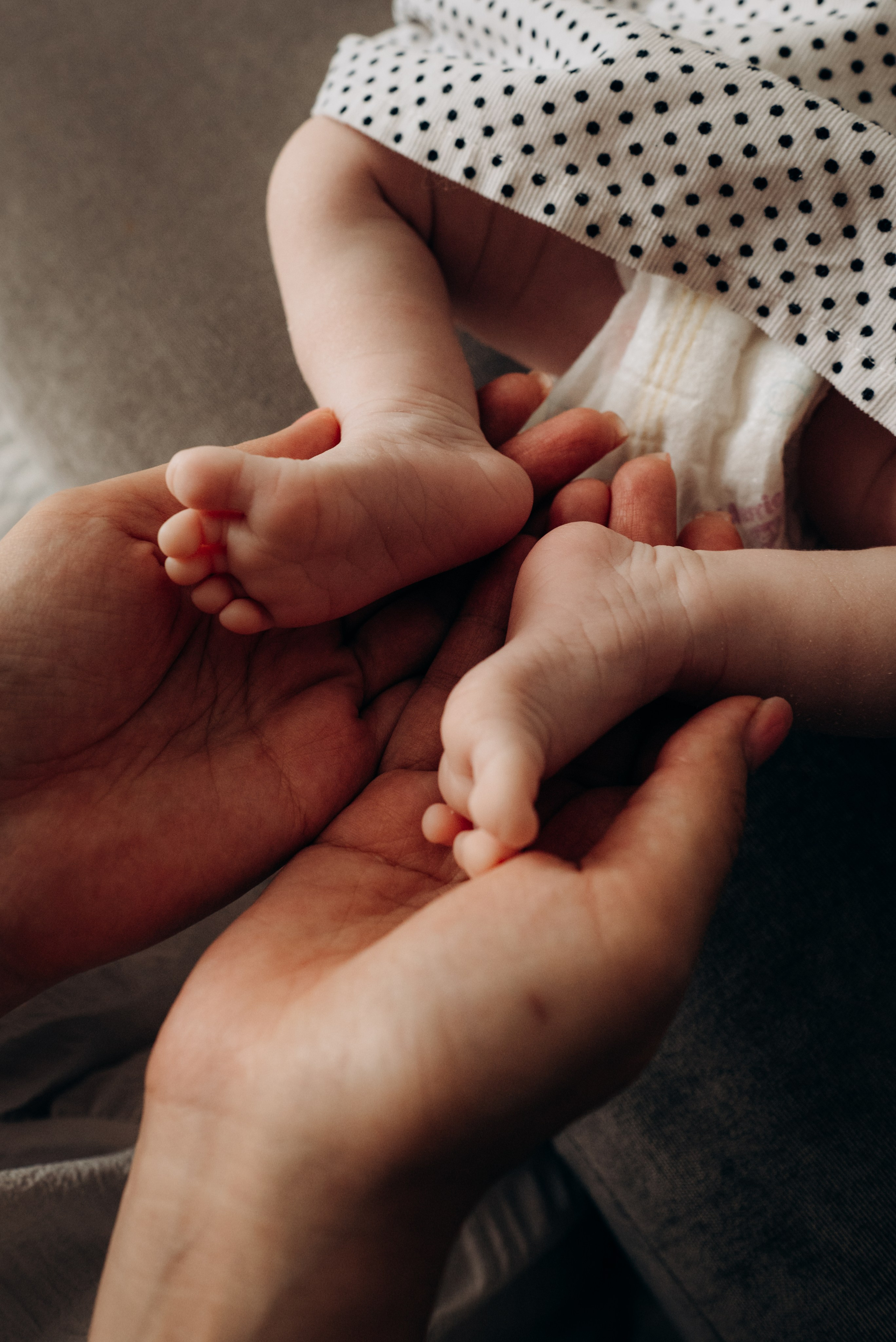 Елена + Александр + Аня. Фотограф в Санкт-Петербурге Пономарева Юлия