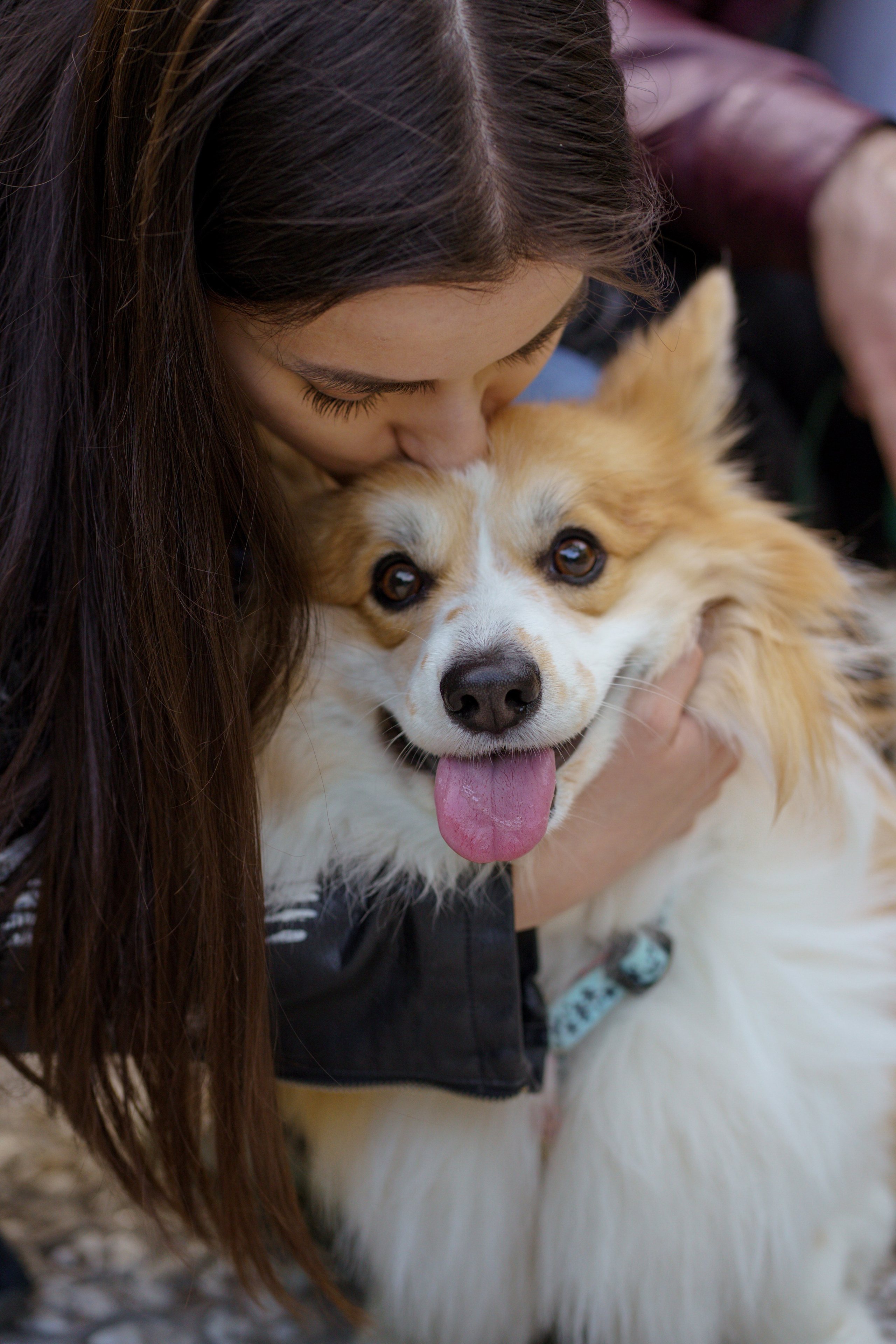 Катя, Арсений и Пух. Свадебный фотограф в Москве Анна Полушина