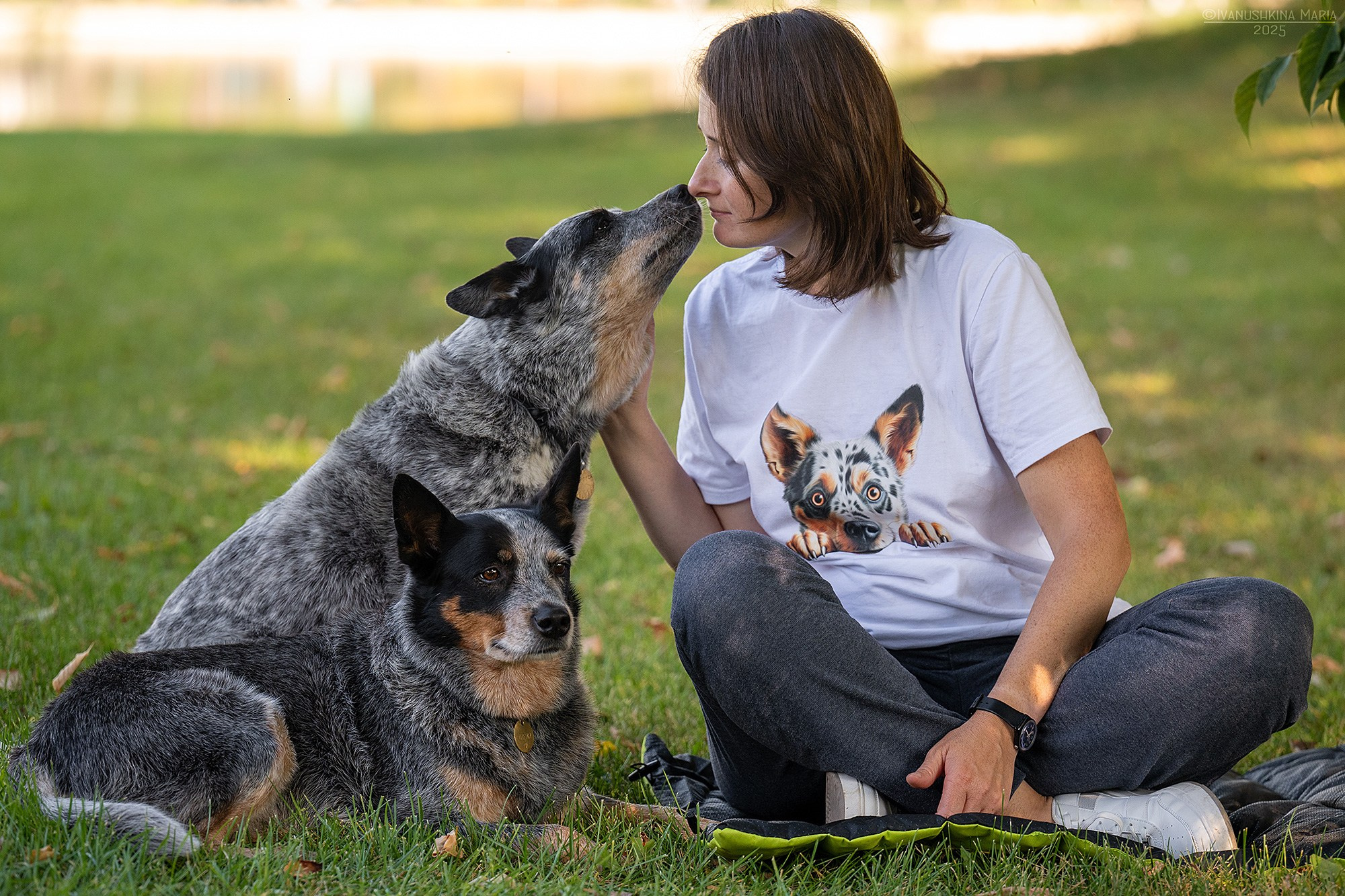 Фотосессия с собакой. Фотограф собак в Москве и Московской области Иванушкина Мария
