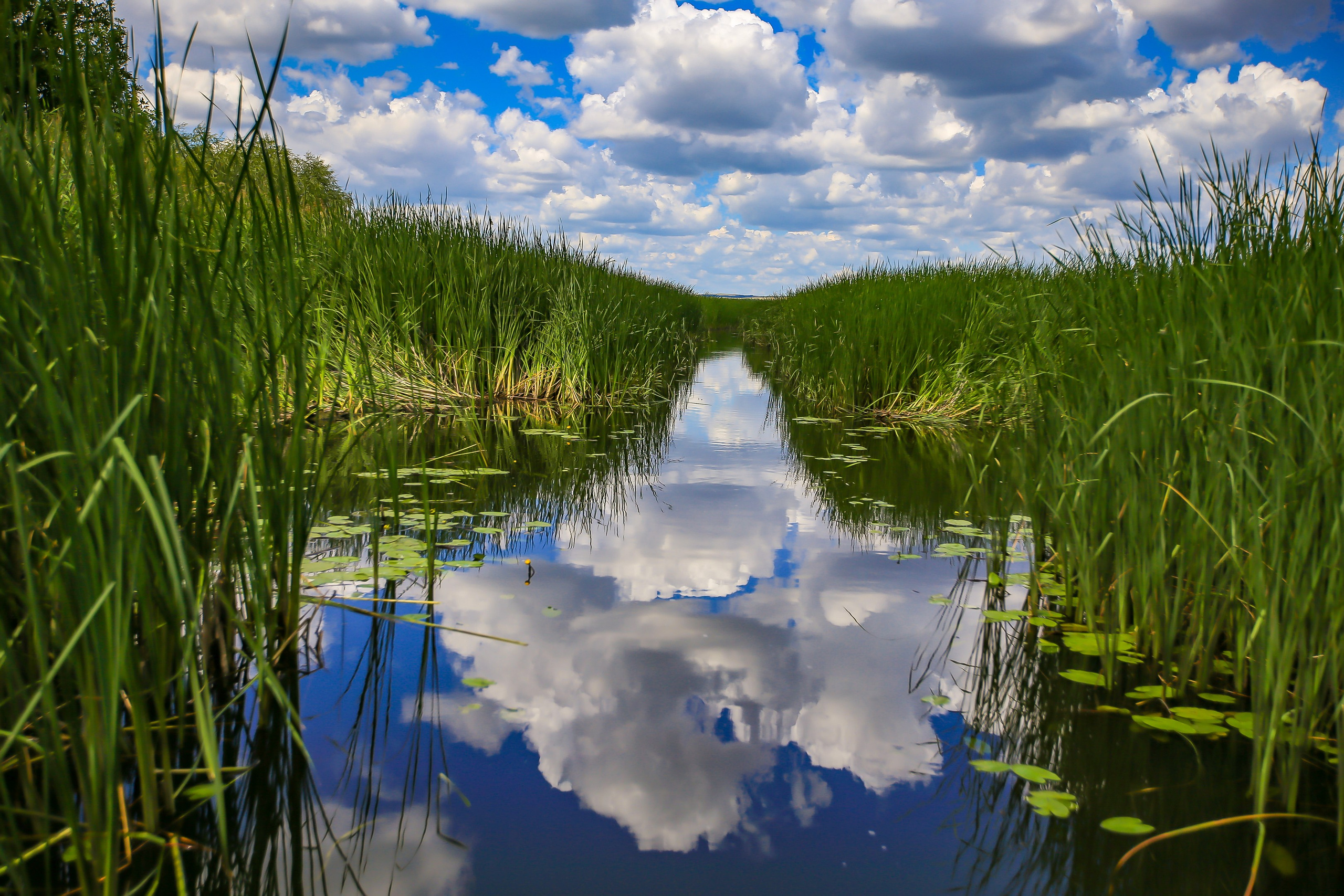 Природа. Макс По — фото и видео съемки любого формата