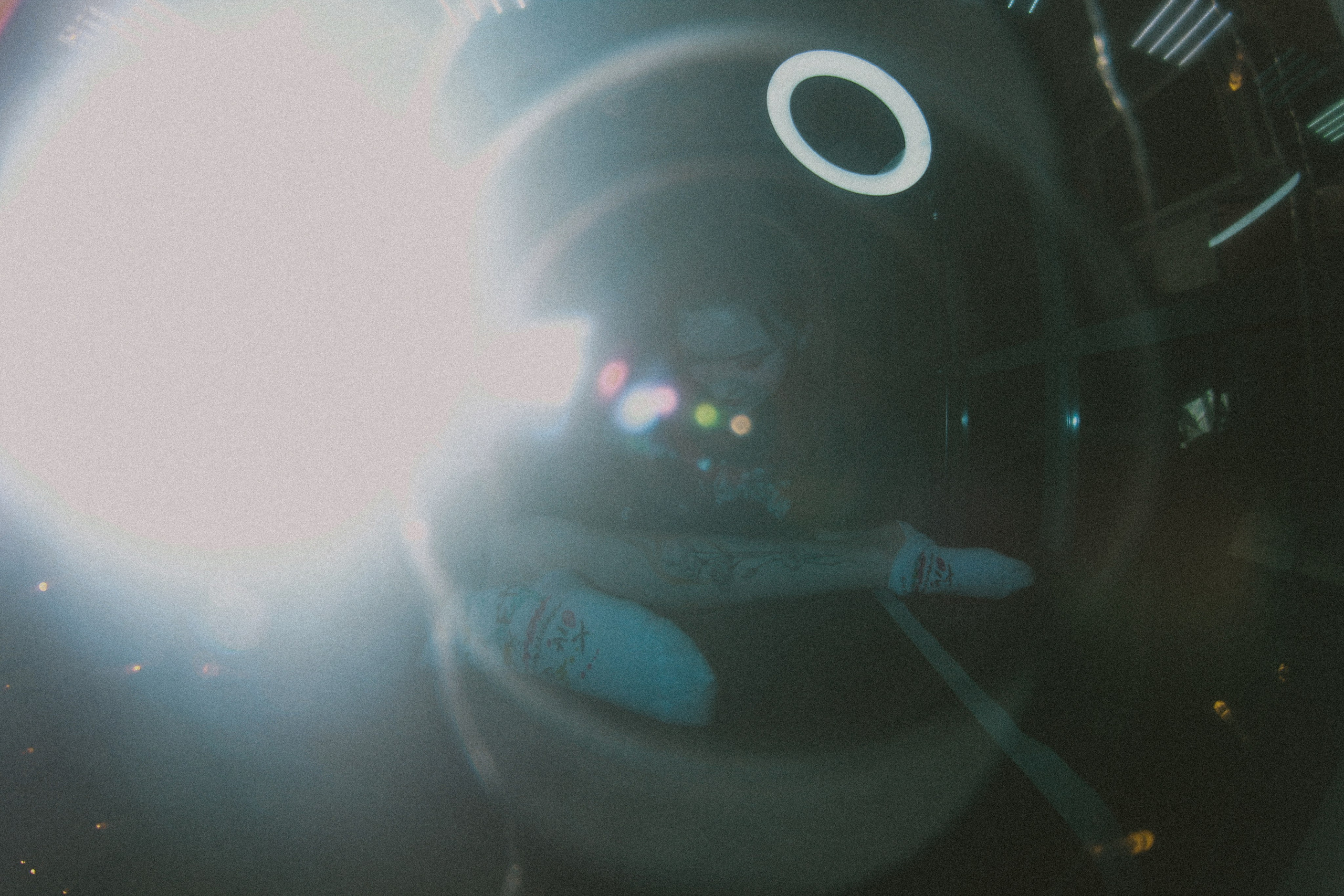 Bobo. Фотограф Мурманск | Нижний Новгород • Анна Хижняк