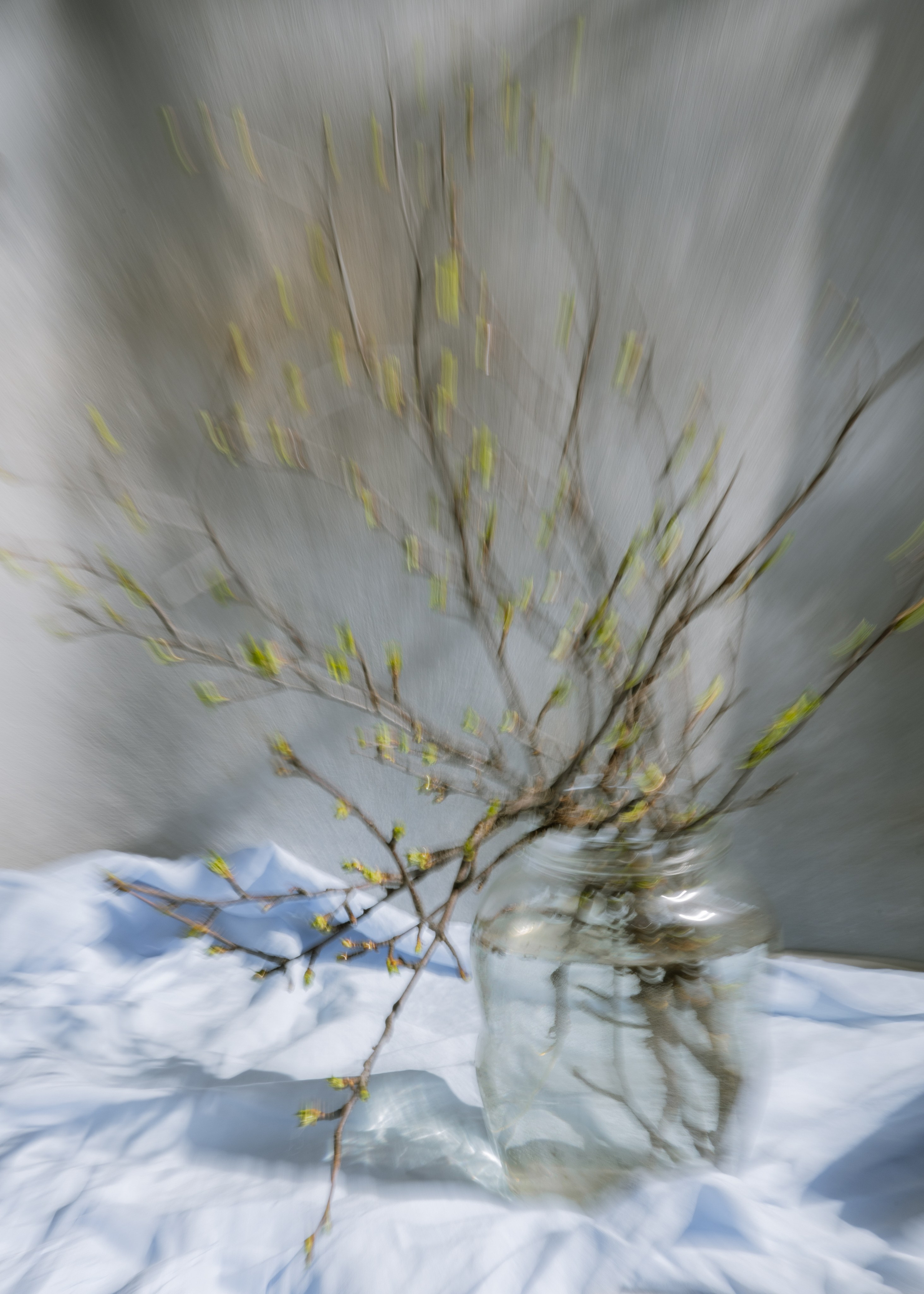 Фотографии — участники выставок и публикации. Портретный и свадебный фотограф в Пушкине и Санкт-Петербурге