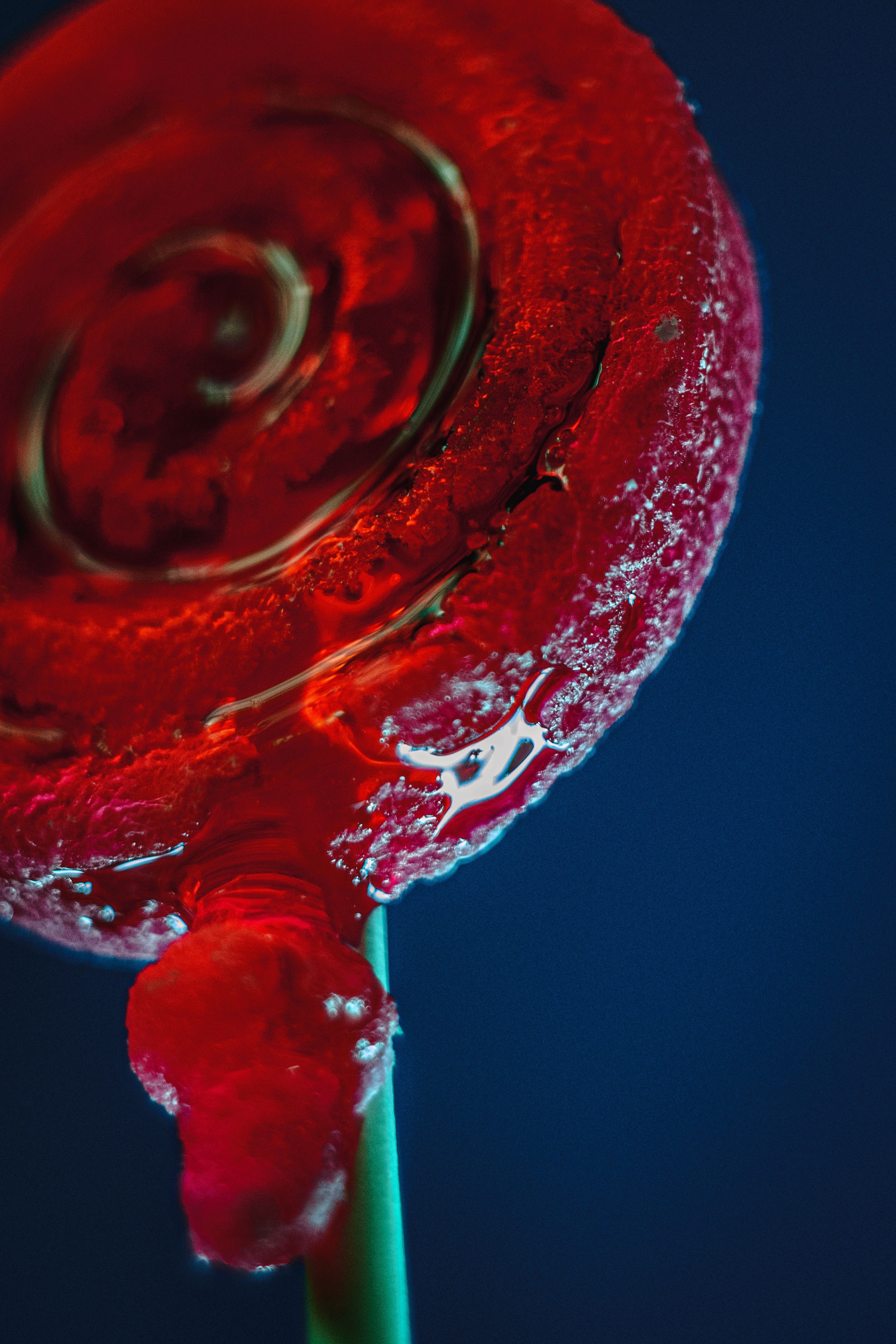 STILL LIFE. Photographer Zoya Smirnova