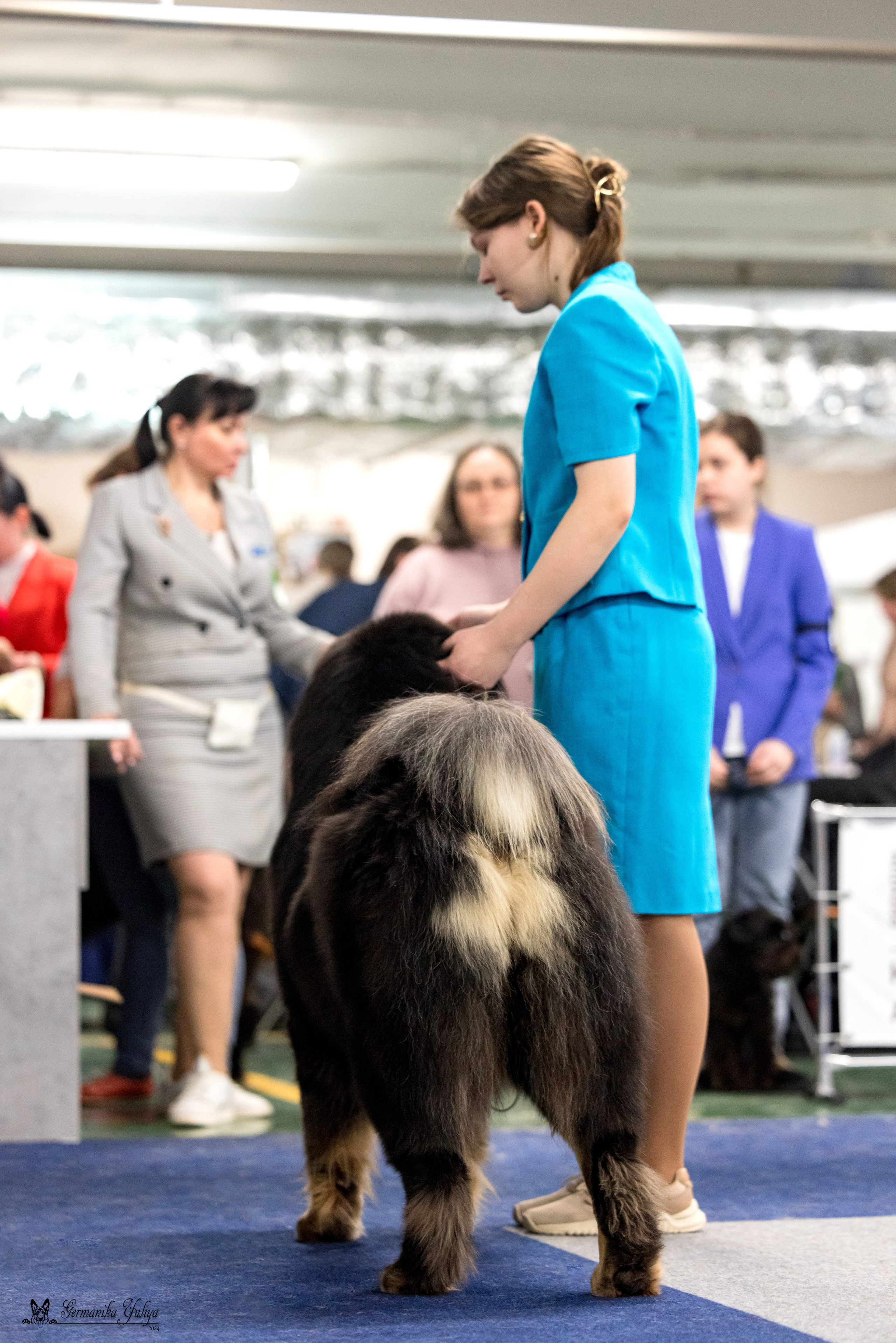 Сфера 28.01. и 4.02.2024. Фотограф-анималист Юлия Германика