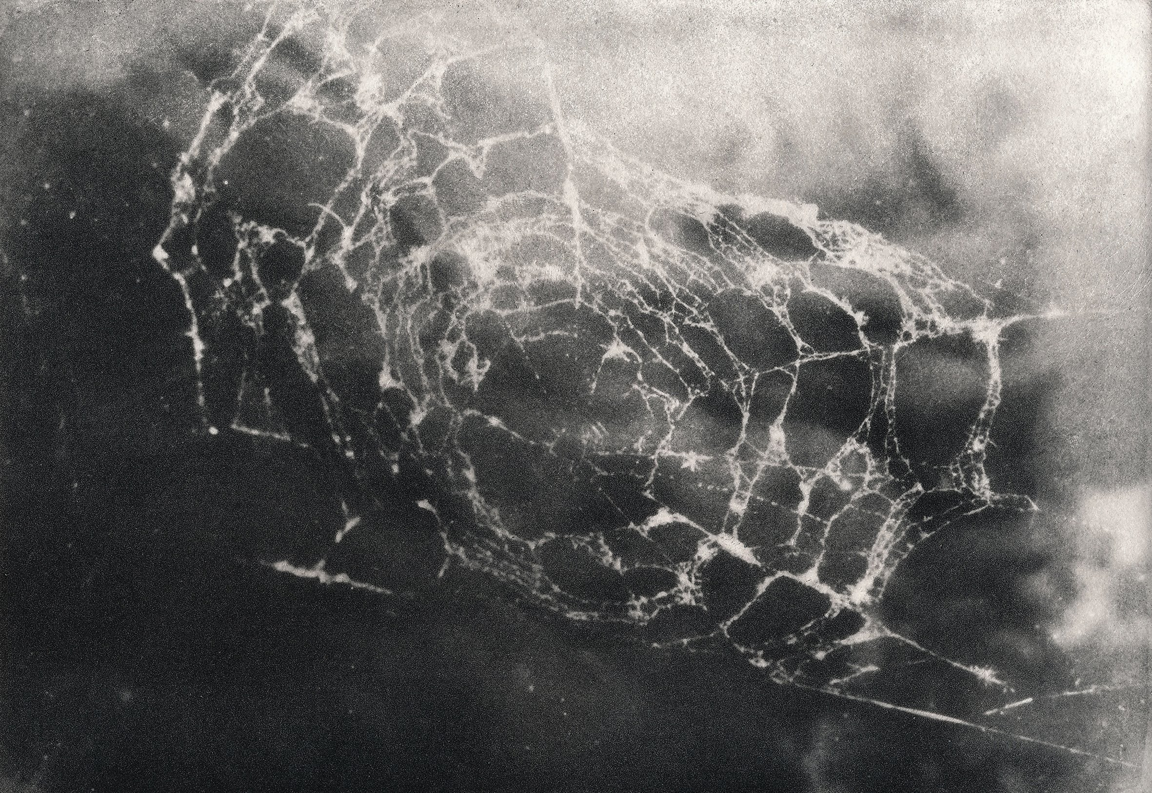 Проект «Black Cloud» Джули ван дер Ваарт. Private image