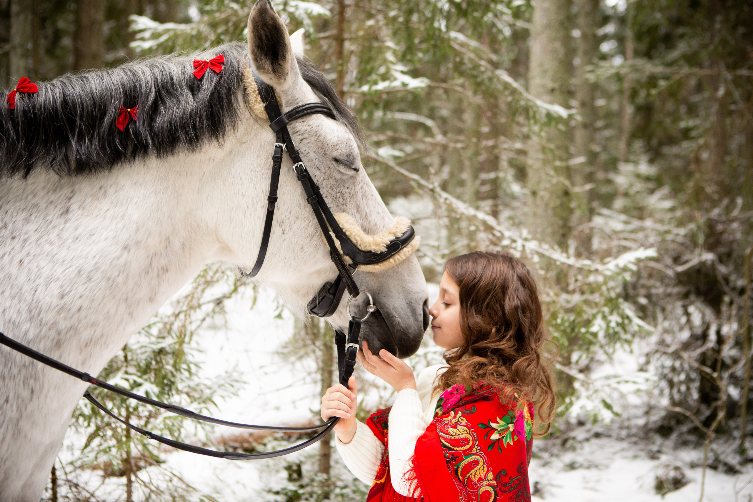 Конные фотосессии (съёмки с лошадьми). Главная