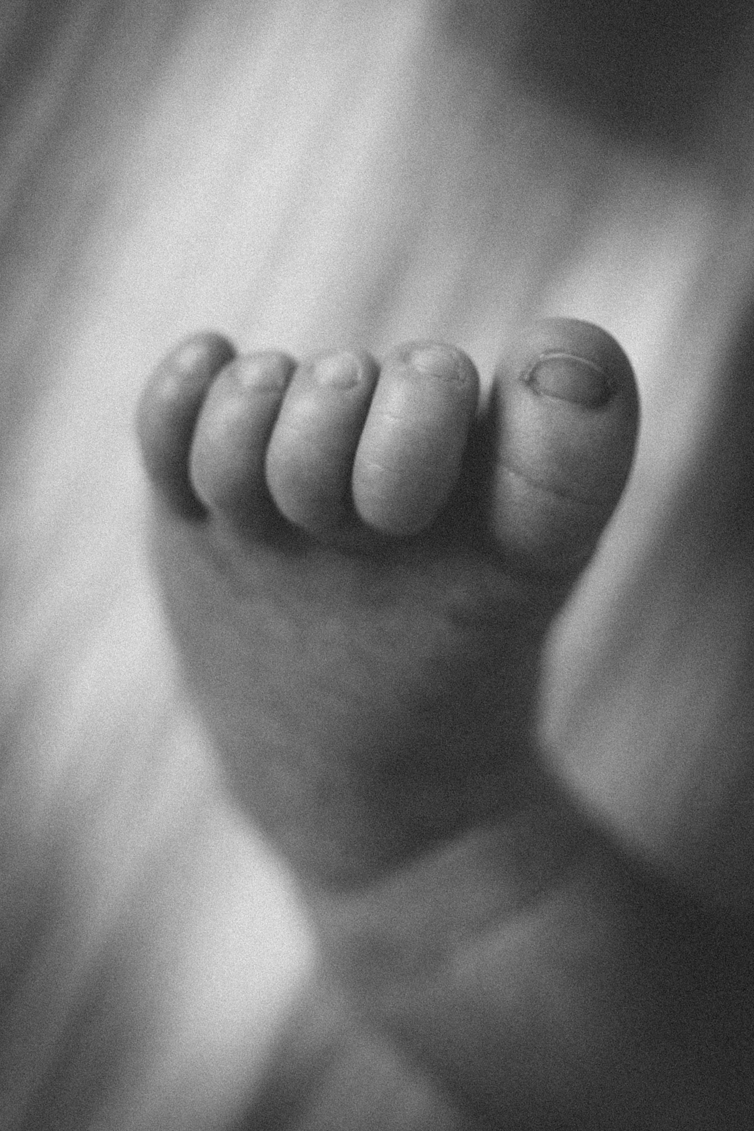 Ира, Дима, Кирюша, бабушка и Тайсон. Семейный фотограф и фотограф на роды в Ростове-на-Дону Мухина Виктория
