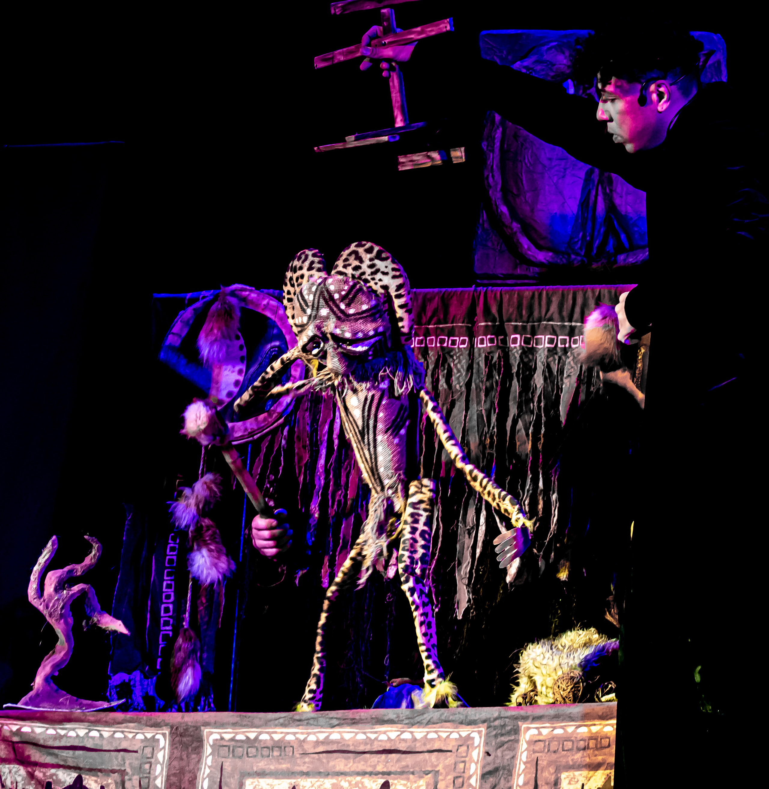 Легенды о Сочи Саквояж. Фотограф в Сочи Юрий Шептаев