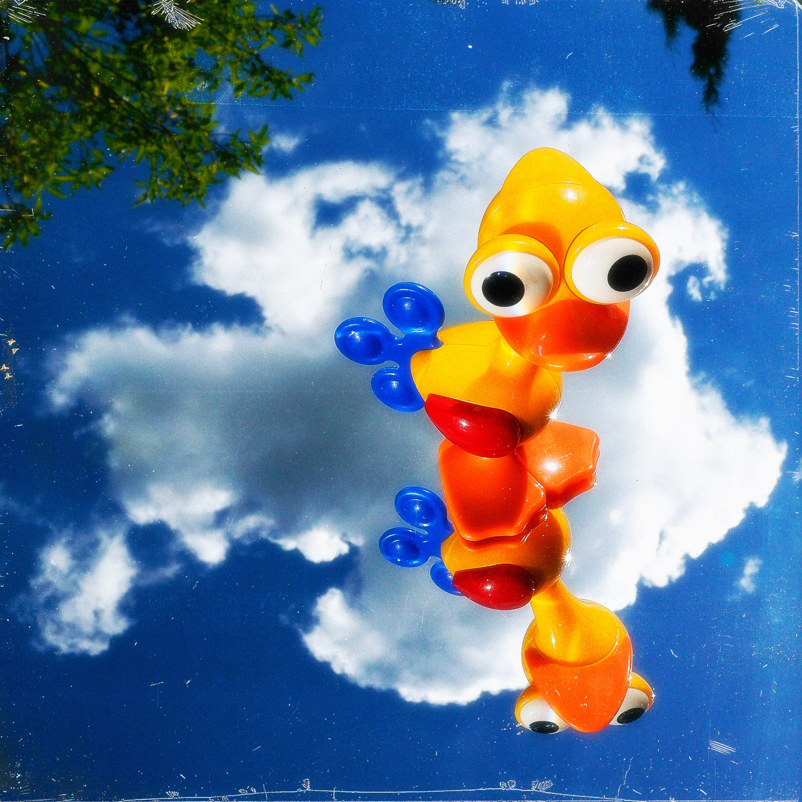 TOYS. ANNA — PHOTOGRAPHER