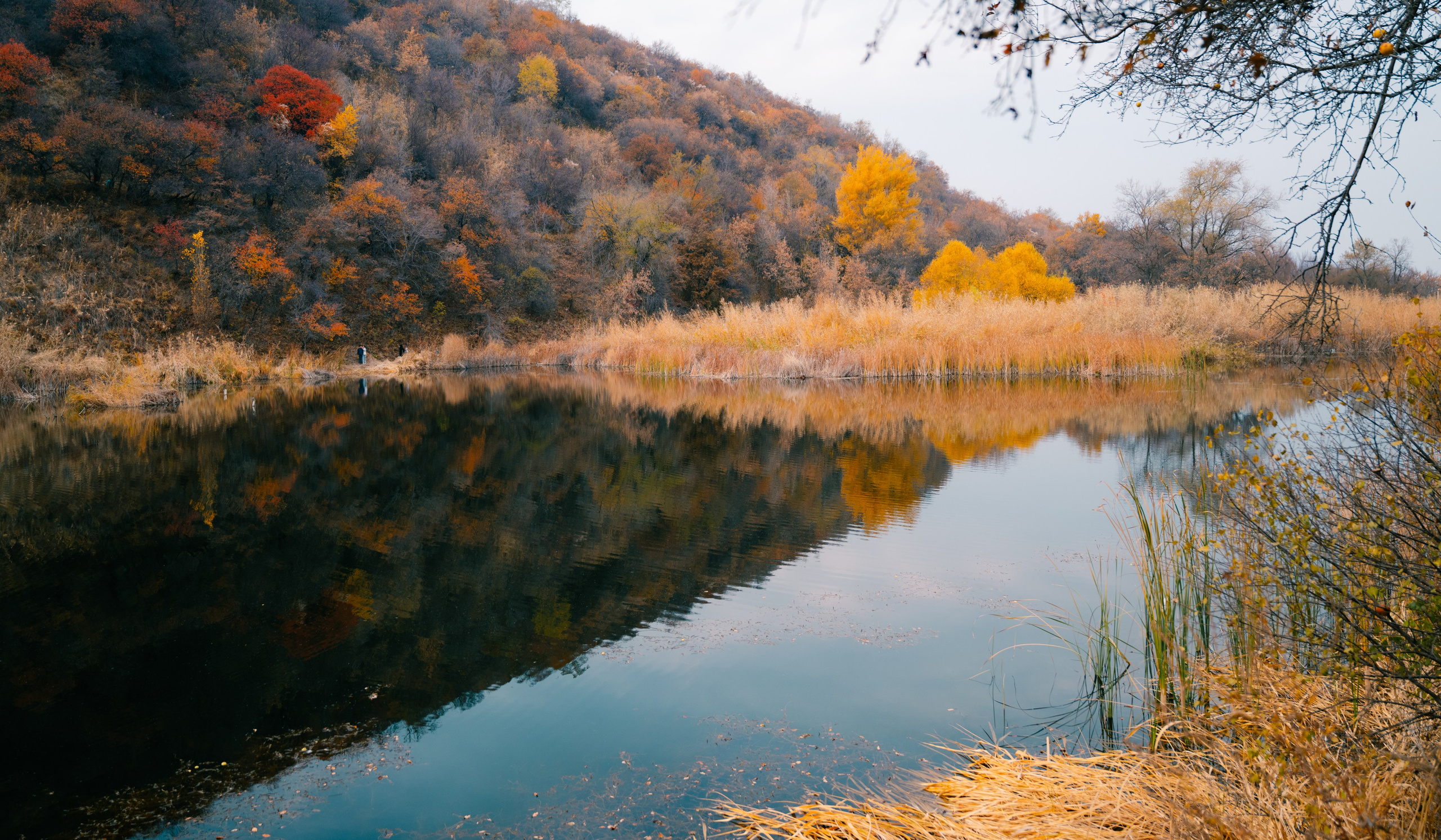 Озеро Иссык, осень 2025. Фотограф в Алматы — Алексей Коньков | Репортаж, свадьбы, портреты