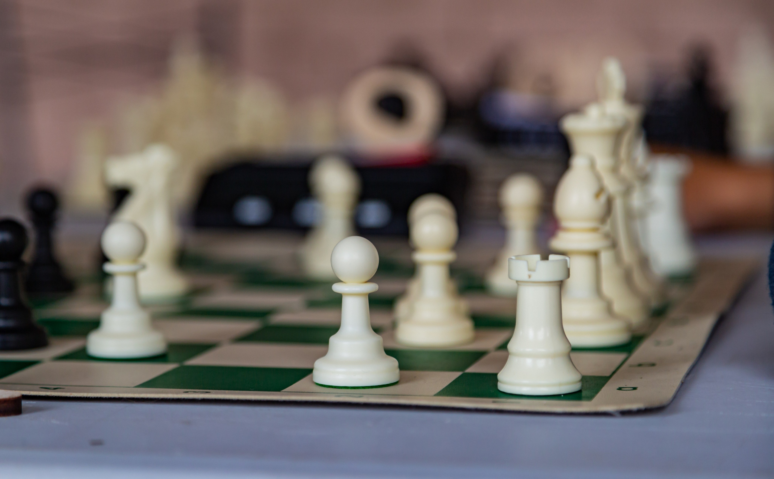 Шахматный турнир в Шушарах Санкт-Петербург. Светлая сторона