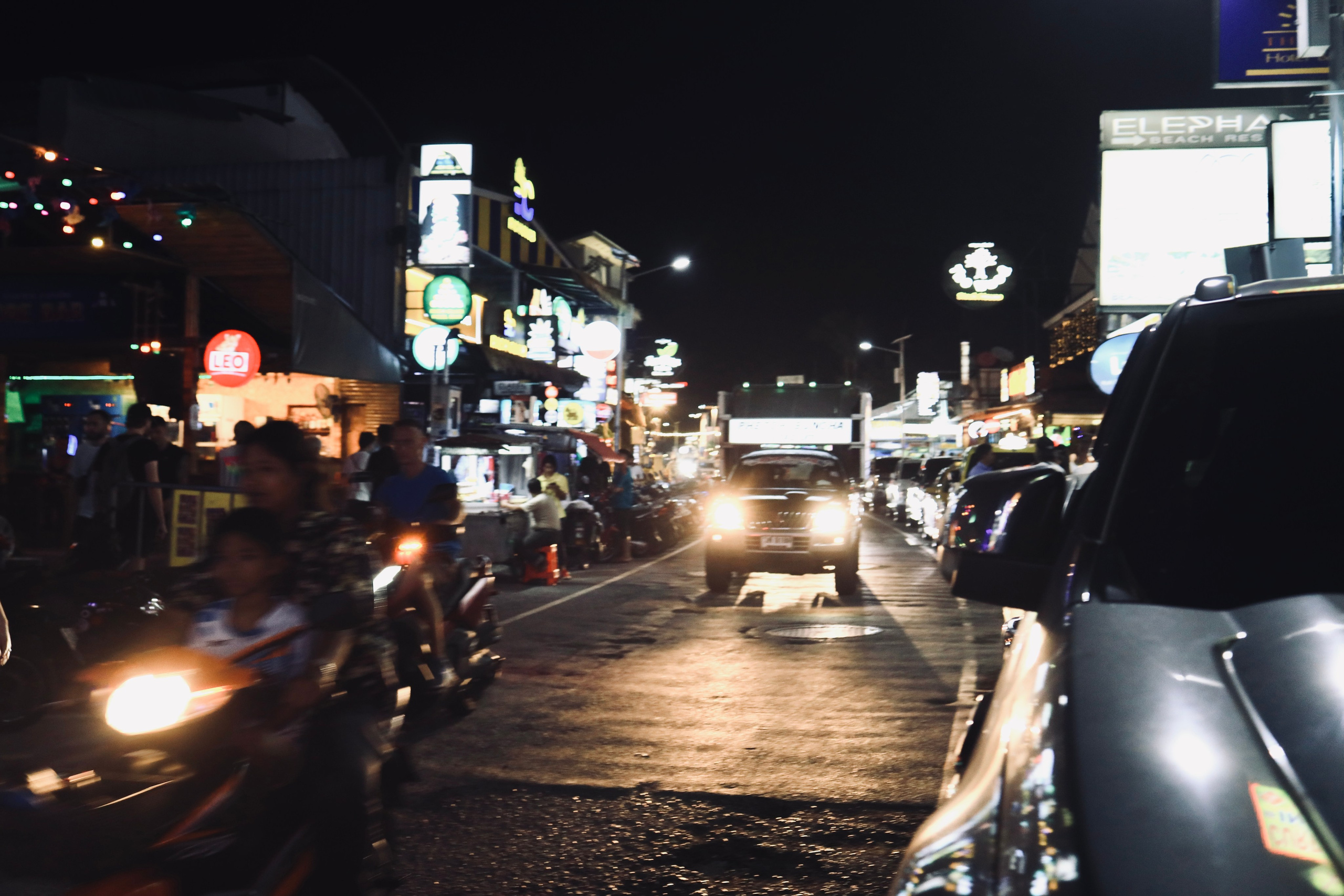 Night inhabitants of Samui Island / Thailand 2024. POLINA MÔMOT