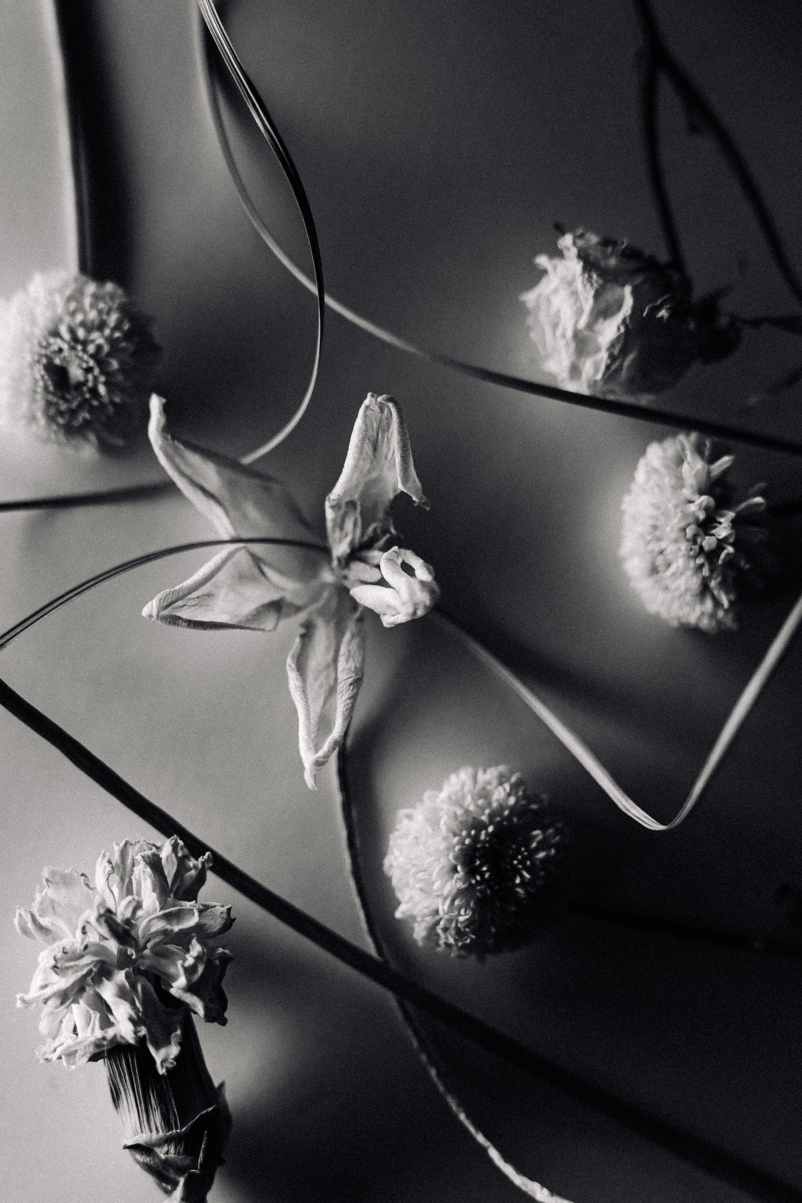 Flower. Фотограф в Москве и МО Князева Алина