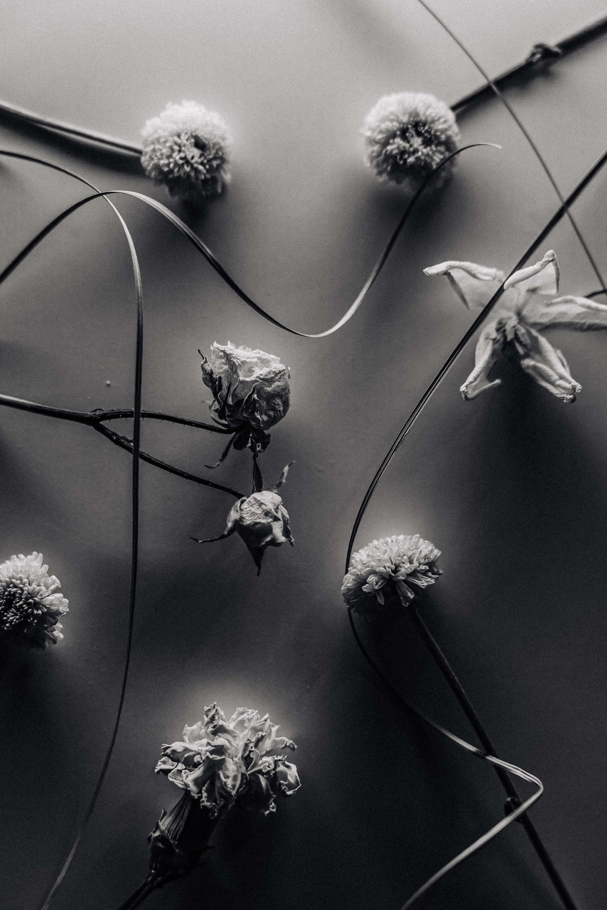 Flower. Фотограф в Москве и МО Князева Алина