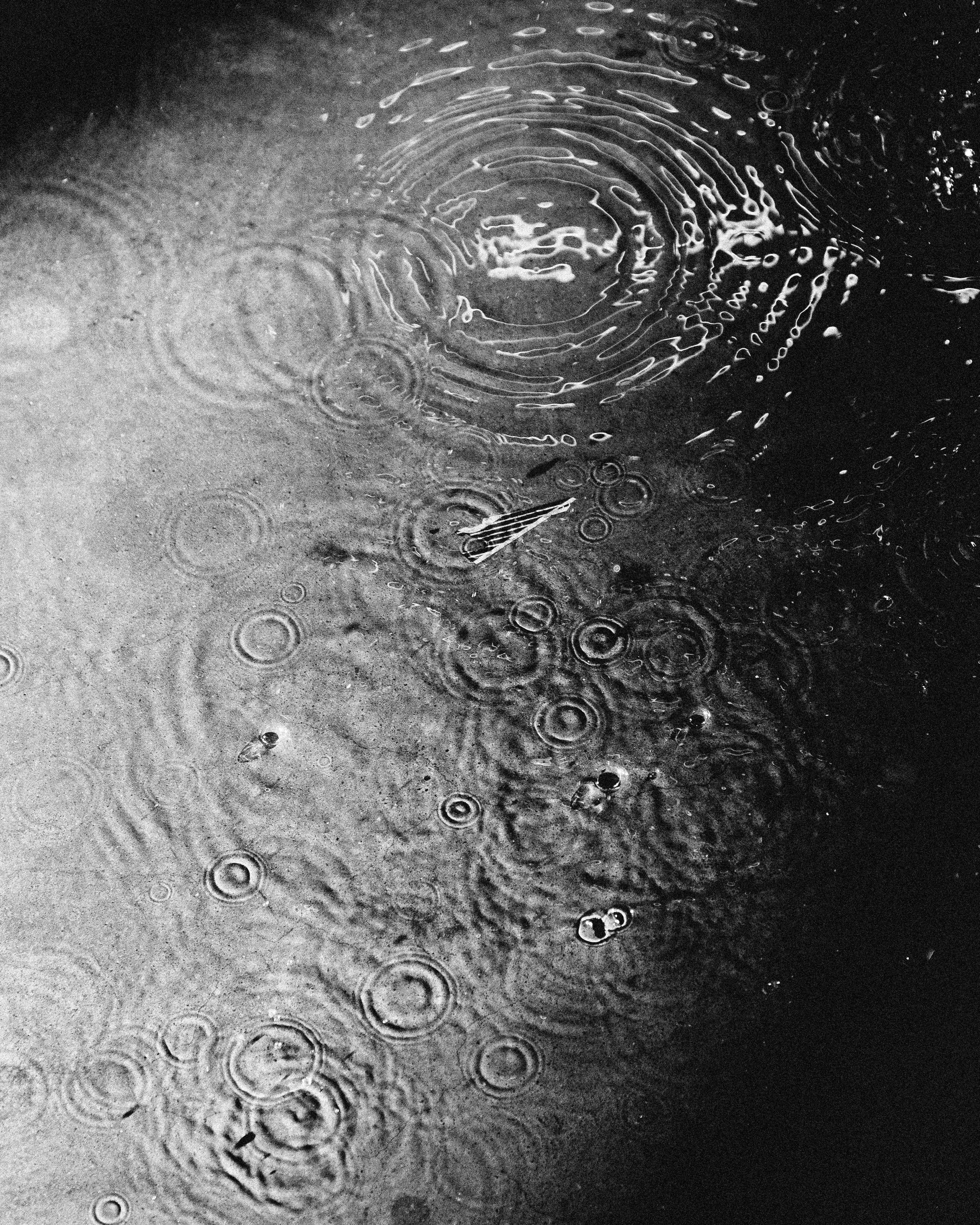 Water. Фотограф в Москве и МО Князева Алина