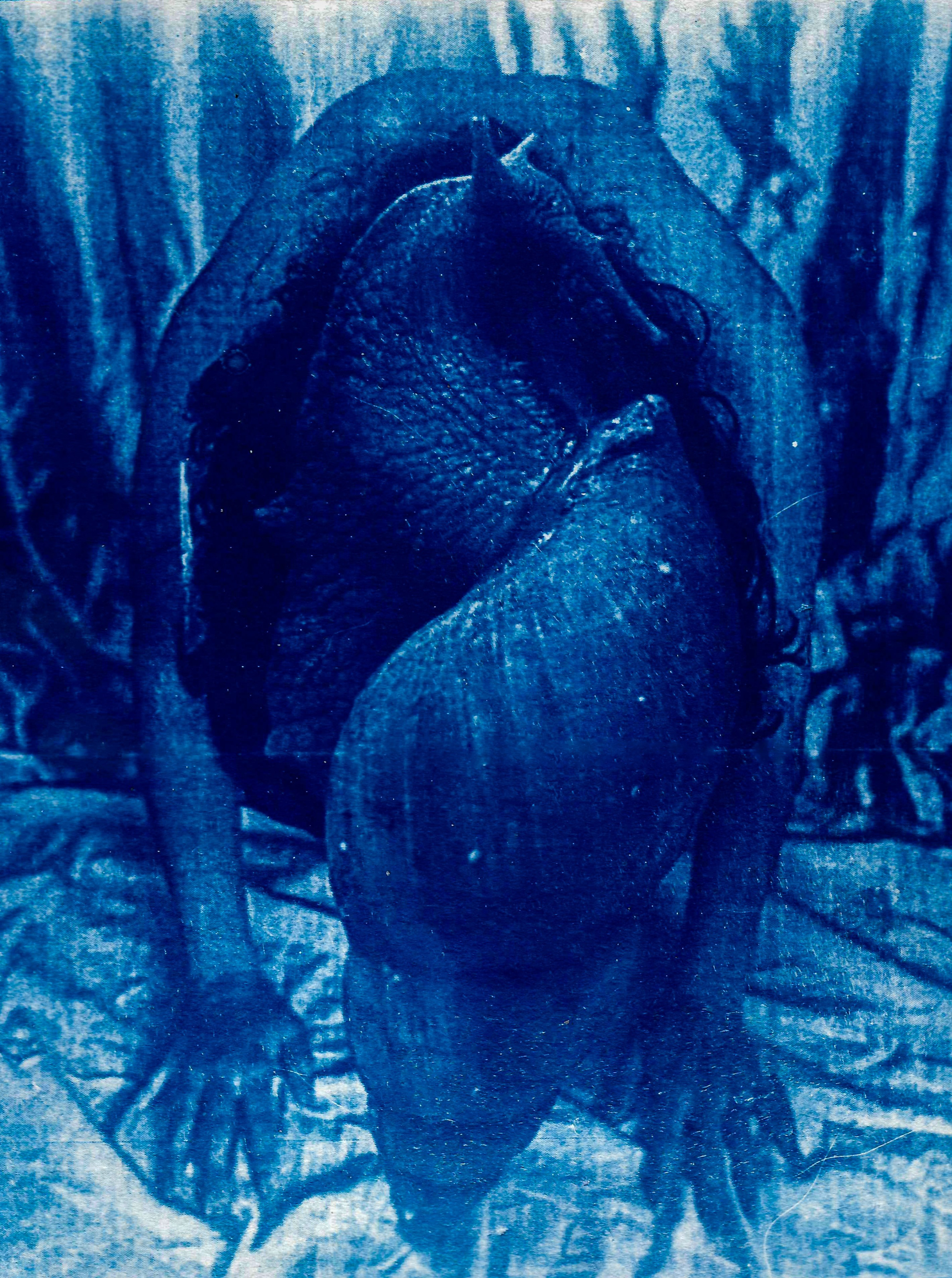 Укрытие. Катерина Эделева