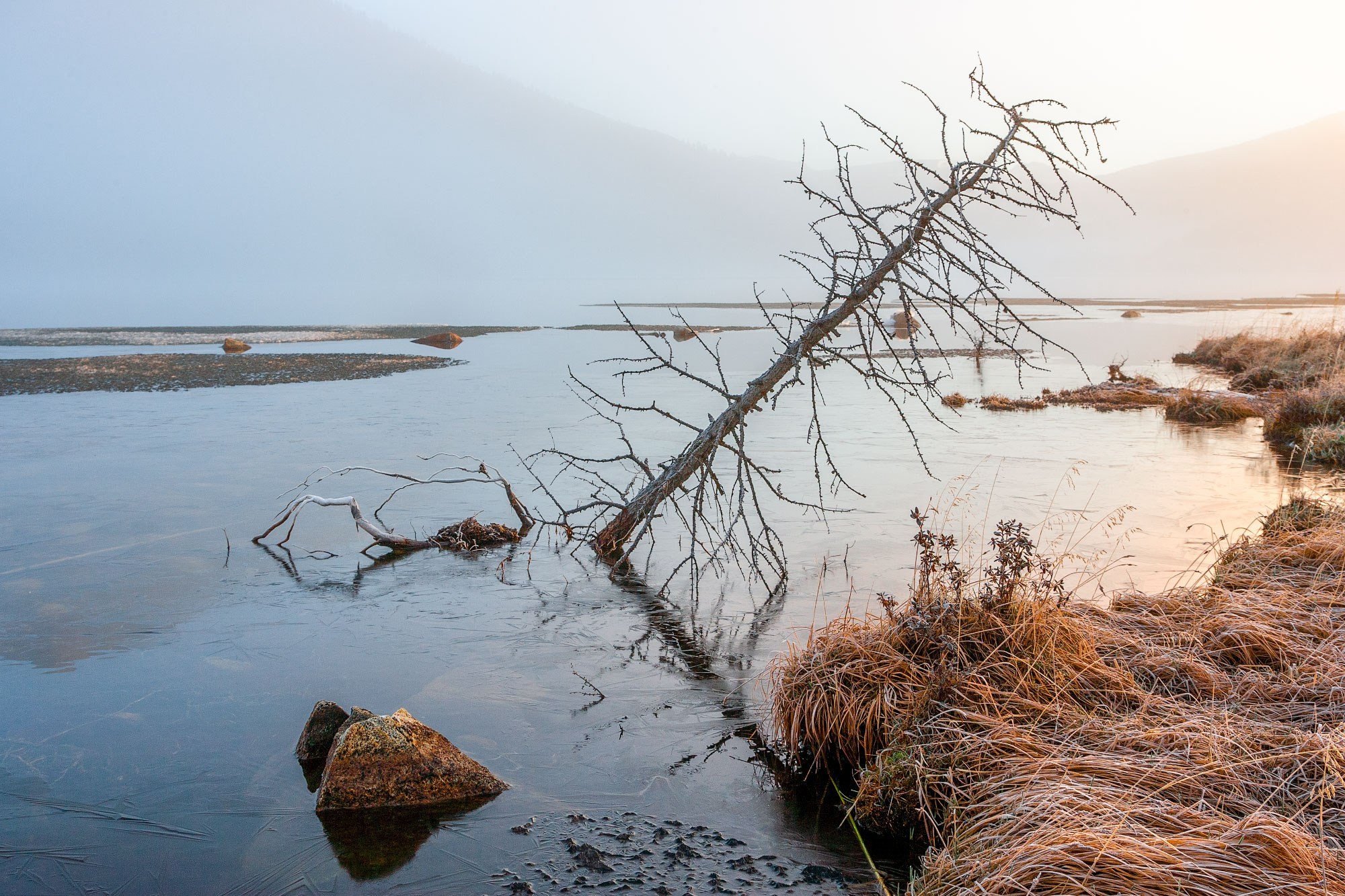 Свадебный фотограф в Геленджике
