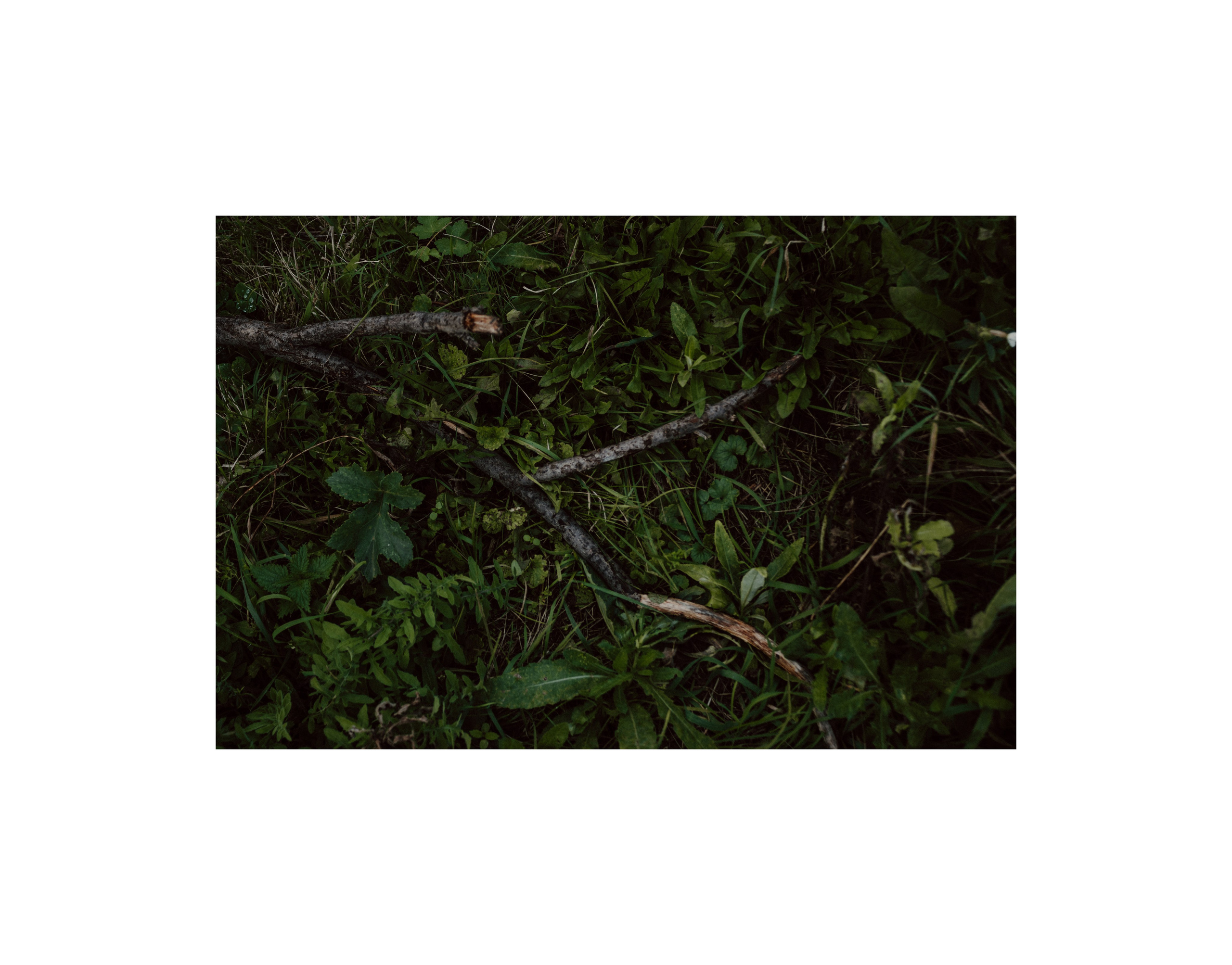 Татьяна и Данил. Русский стиль. 09.09.2025. Фотограф в Челябинске Любовь Денисенко