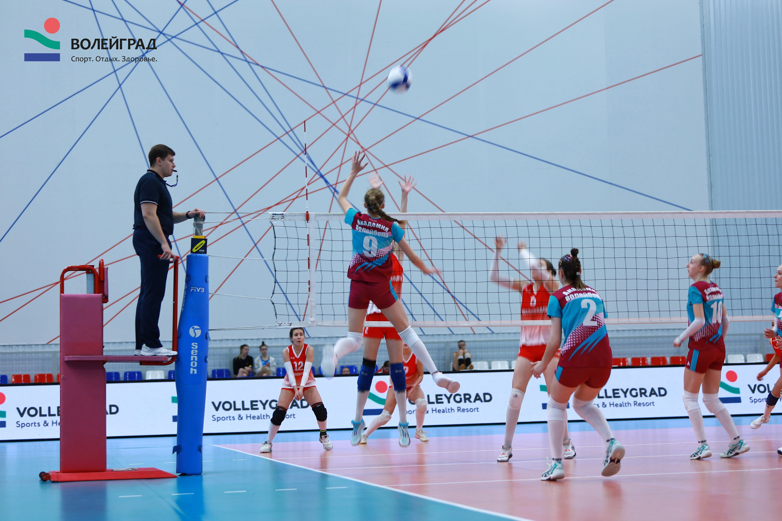 Волейбол ВФВ 07.04.24. Репортажный фотограф Анапа