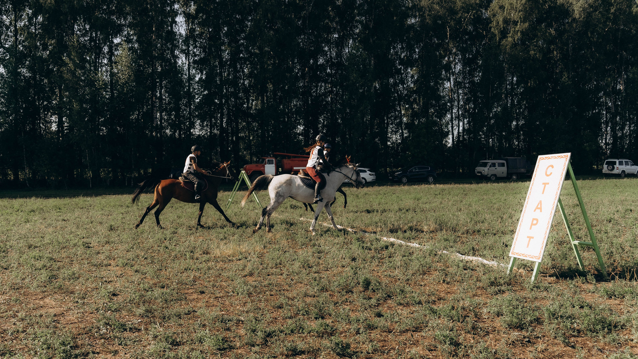 День Коня. Алиса Никитцова | Фотограф в Казани