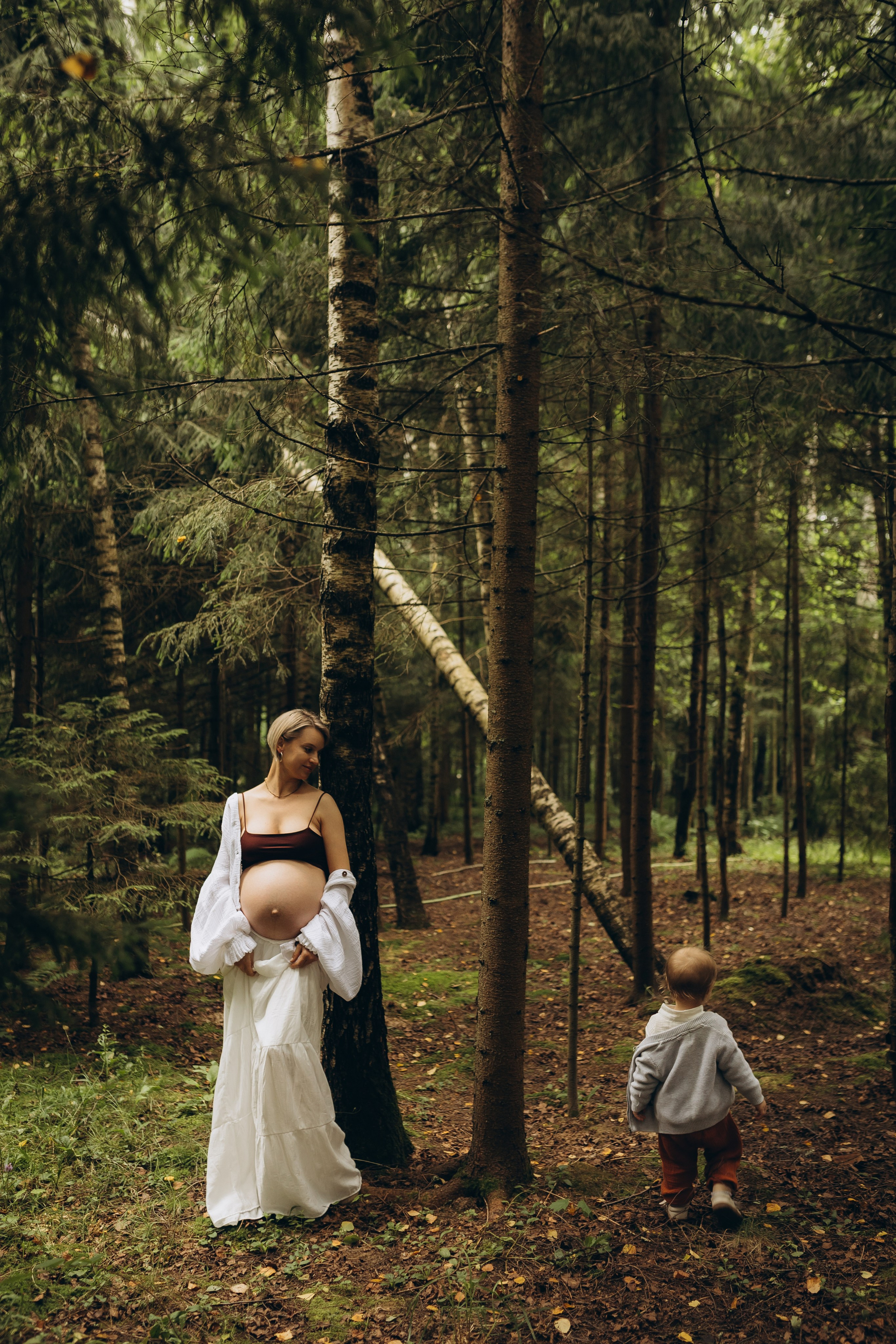 Сказка в сосновом лесу. Ph.nataluuna ФОТОГРАФ СЕРГИЕВ ПОСАД
