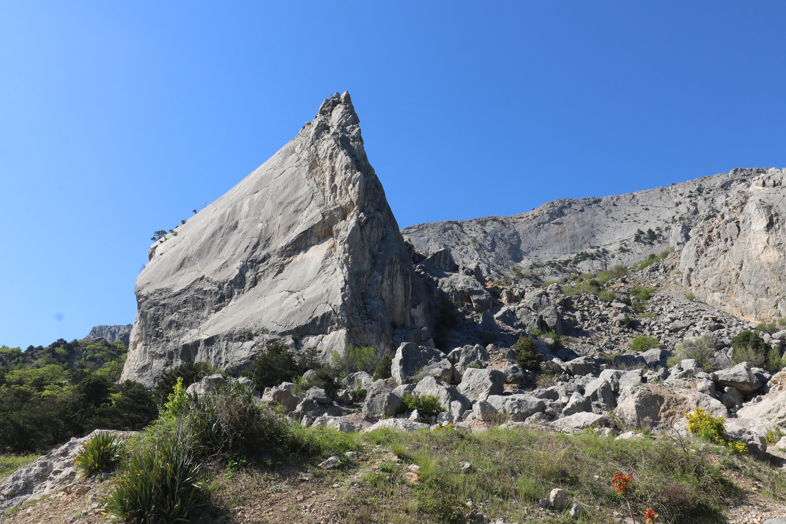Крым. ЮБК (Севастополь, Кастрополь, Ялта). Май 2023. Путешественник-фотограф из Санкт-Петербурга Татьяна Свистулина