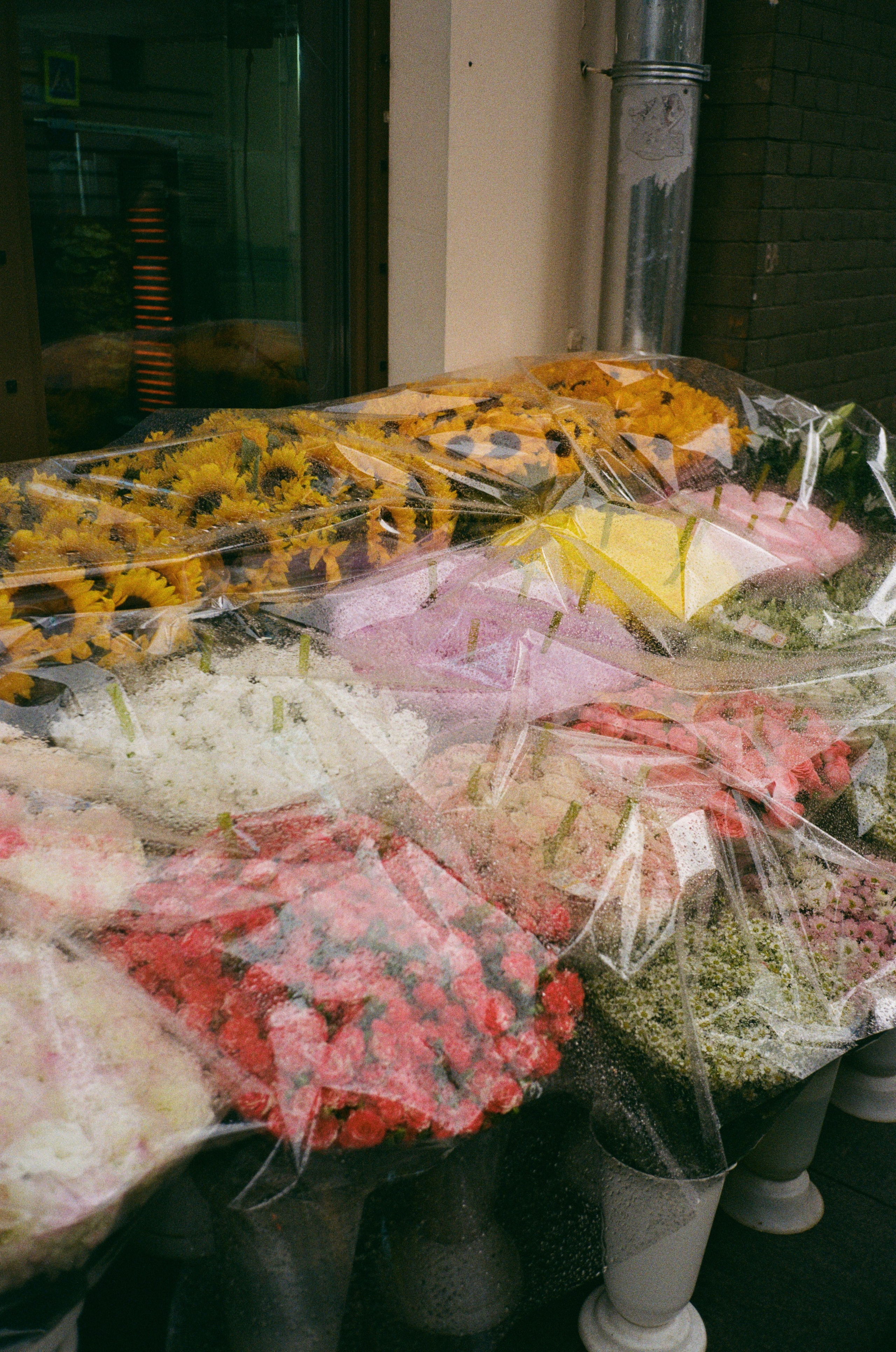 Grain. Artem Khusainov