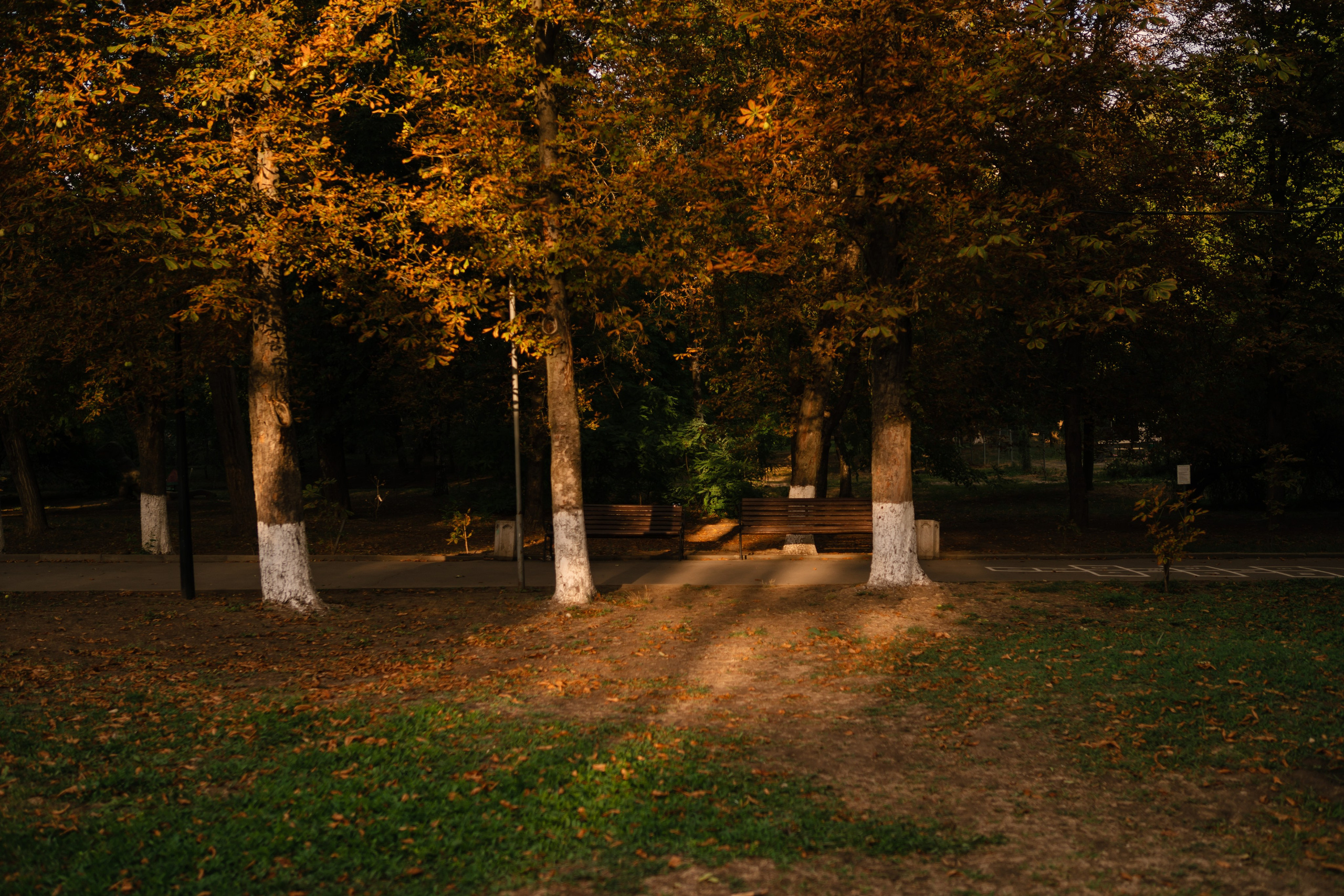 Локации для школьных съемок. Семейный фотограф и видеограф Ростов-на-Дону