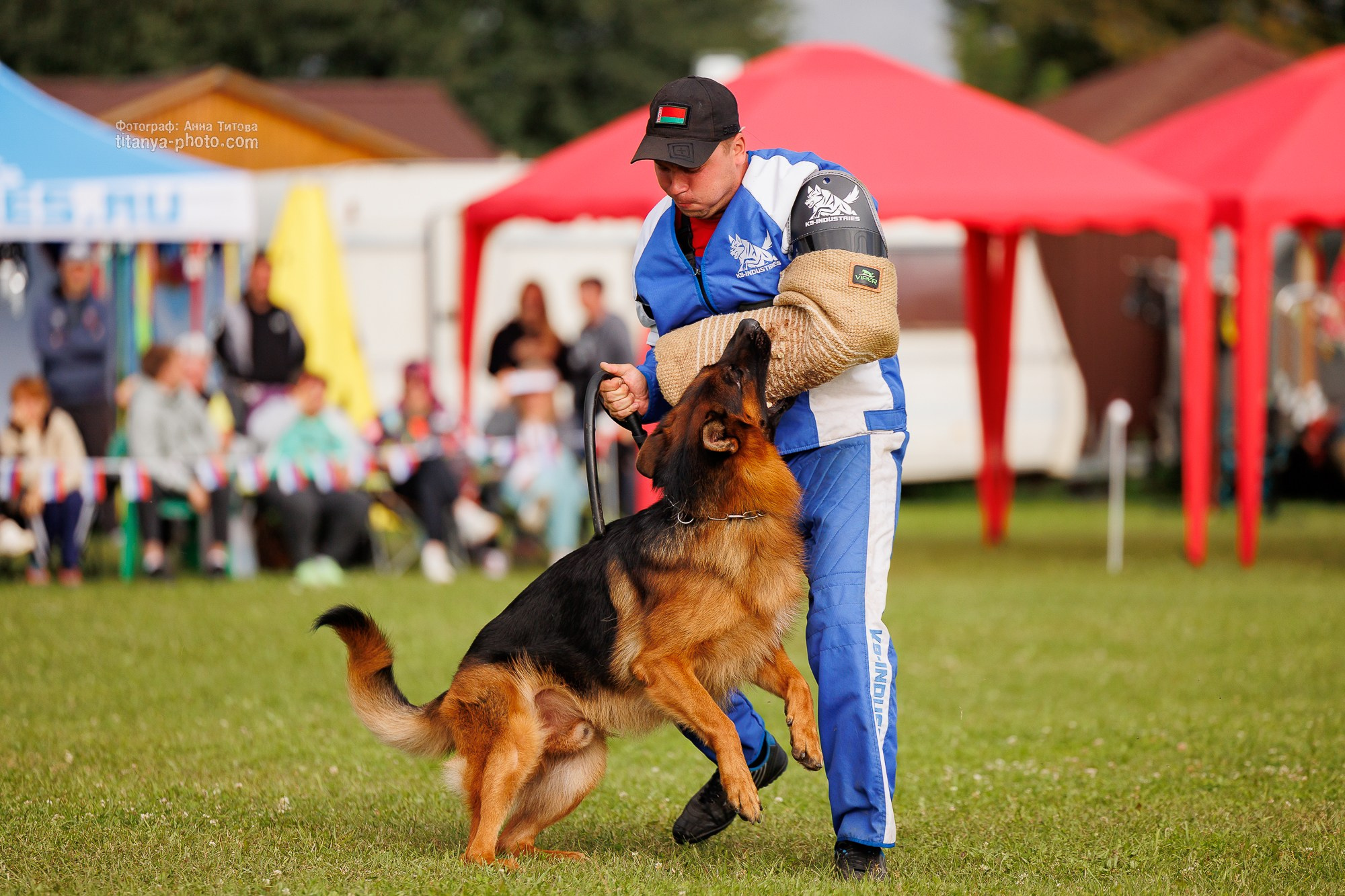 Немецкие овчарки: фото из рингов и вне ринга, мутпроба (фотографии с выставок). Фотограф собак, фотограф-анималист Аня Титова (Titanya). Москва