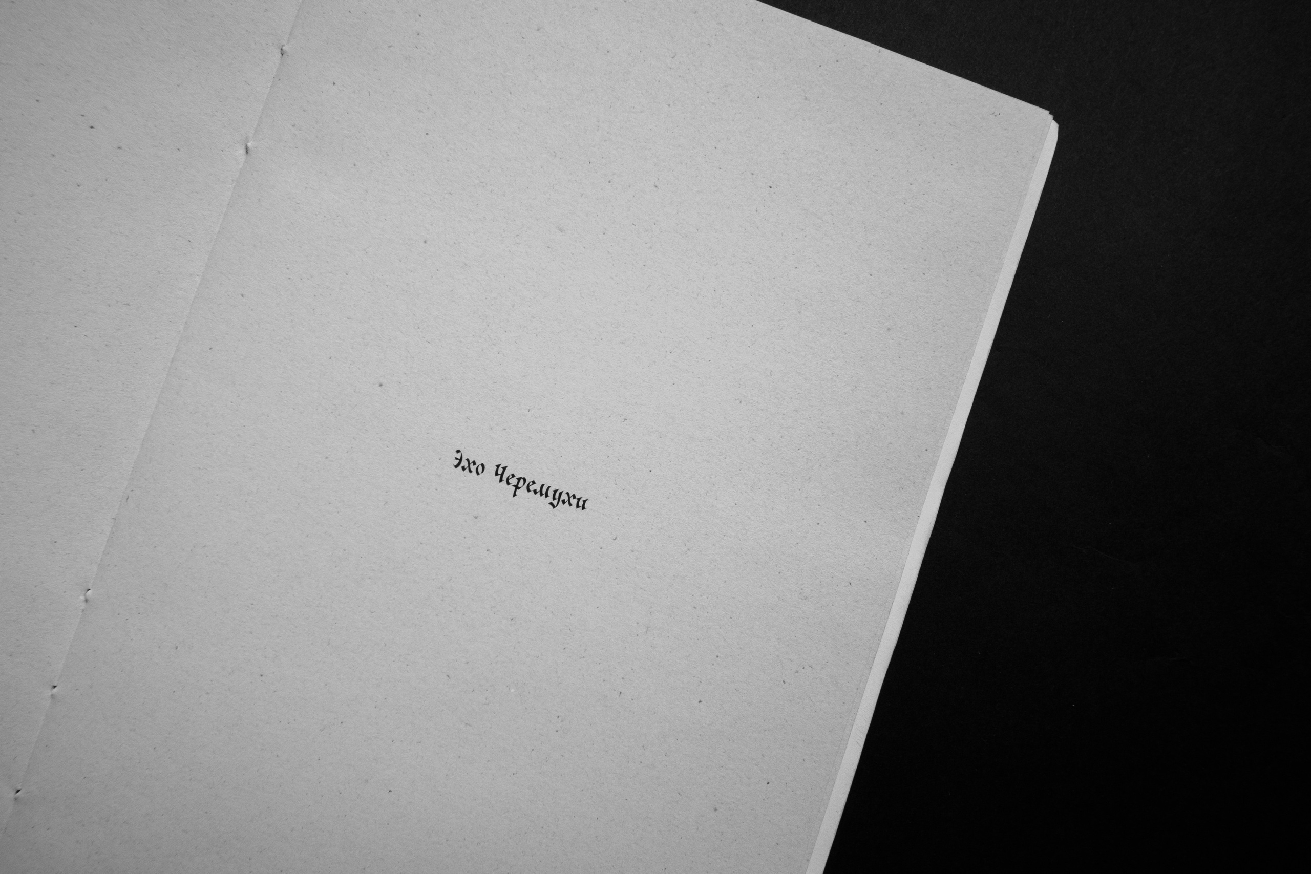 Эхо черемухи. Главная