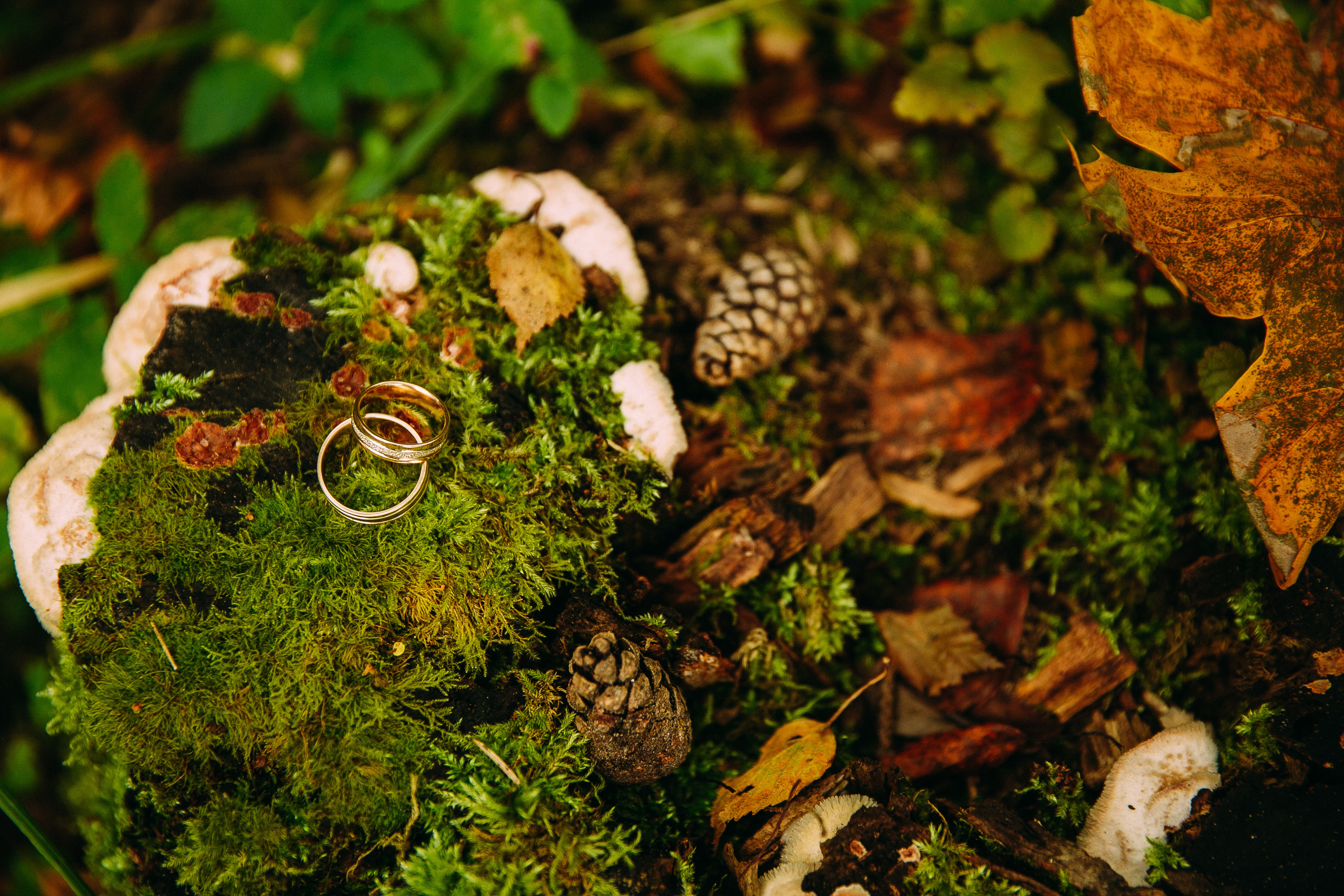 Осенняя свадьба в Санкт-Петербурге. Семейный фотограф, свадебный фотограф, женский портрет в Санкт-Петербу