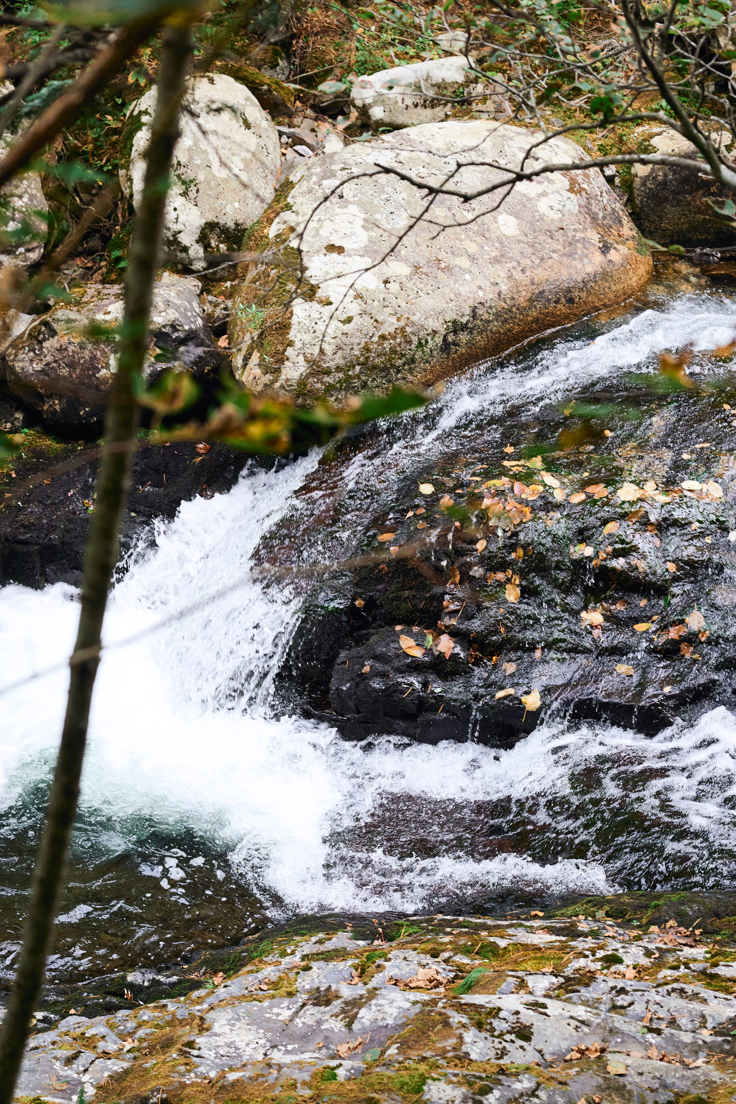 Фото поход на медвежью гору. Фэшн-фотография и портреты в Владивостоке. Превращаю съёмку в повествование — создаю образы с сюжетом, которые остаются в памяти
