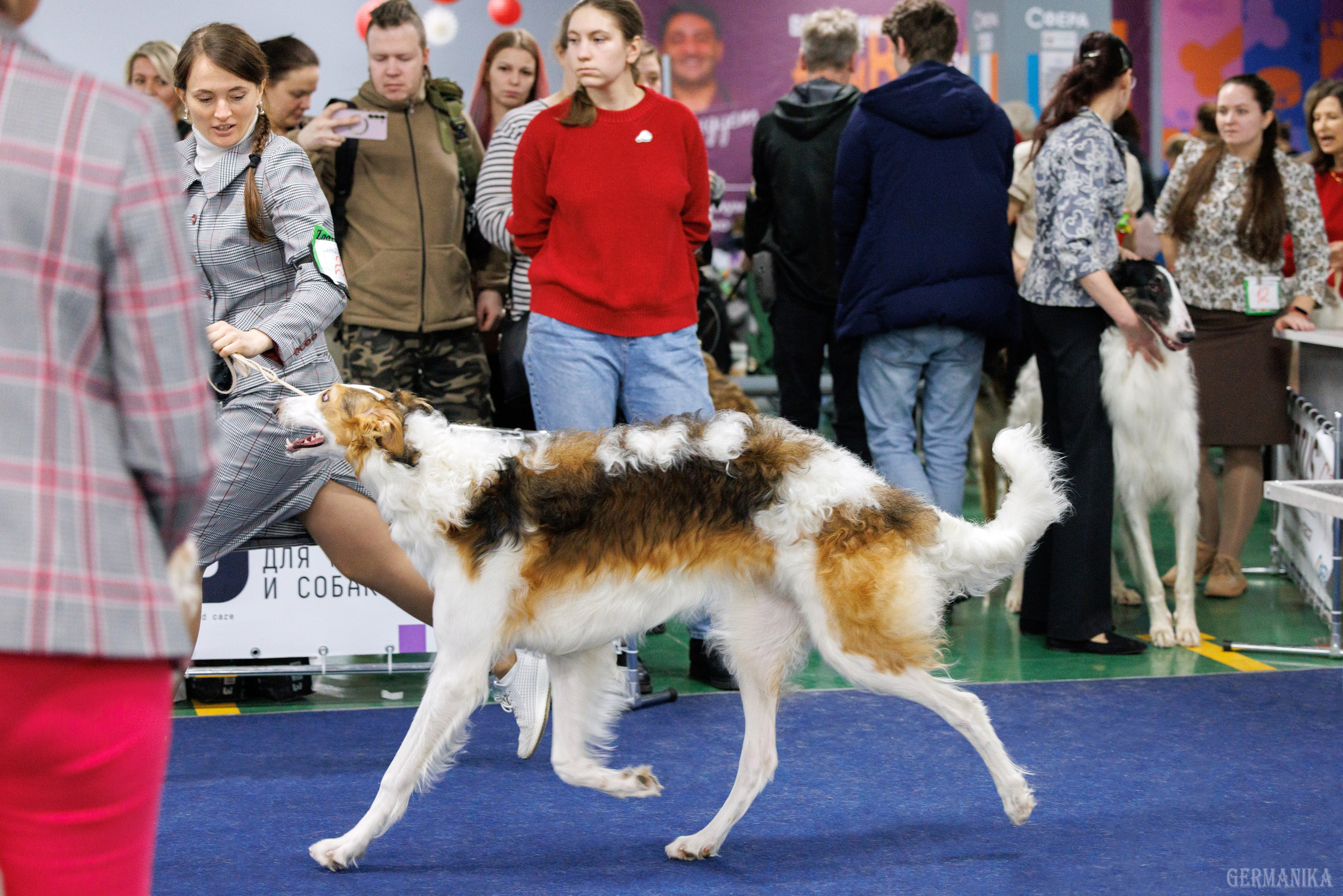 Сфера 28.01. и 4.02.2024. Фотограф-анималист Юлия Германика
