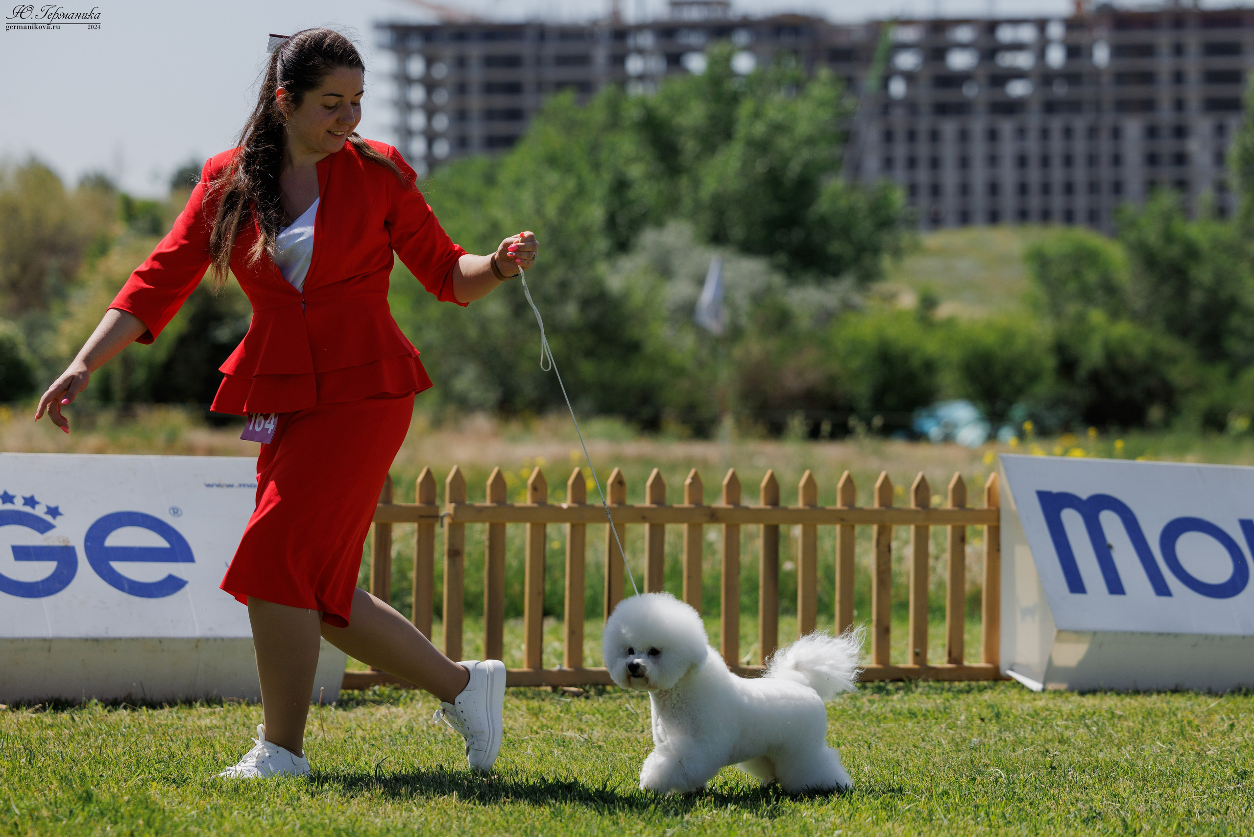 Ереван 3-5.06.2024. Фотограф-анималист Юлия Германика