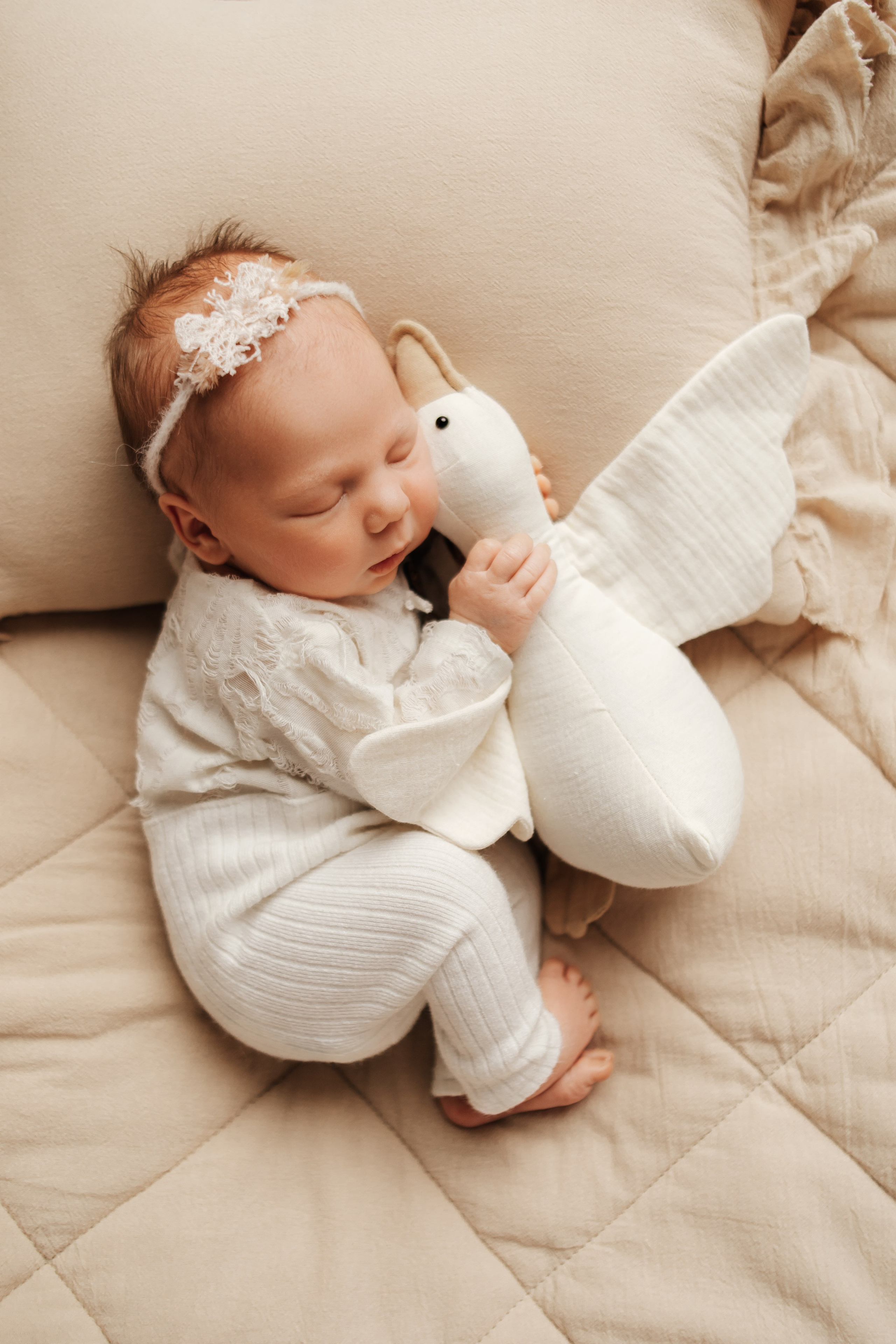 Семейный фотограф Томск. Фотограф новорождённых семейный фотограф Томск Елена Каплина