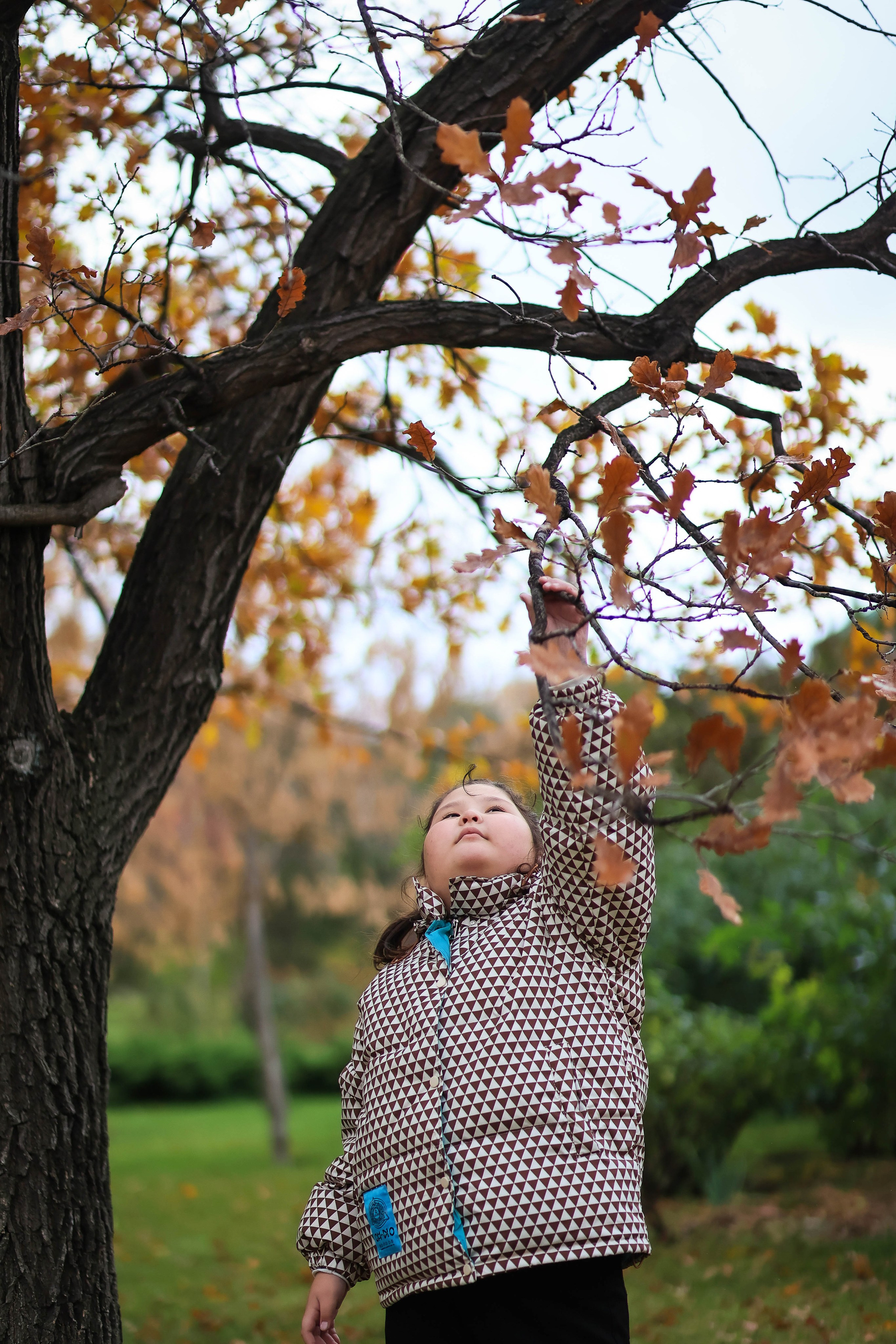 ПРОГУЛОЧНЫЕ. Свадебный фотограф — видеограф в г. Астрахань Екатерина Юмашева