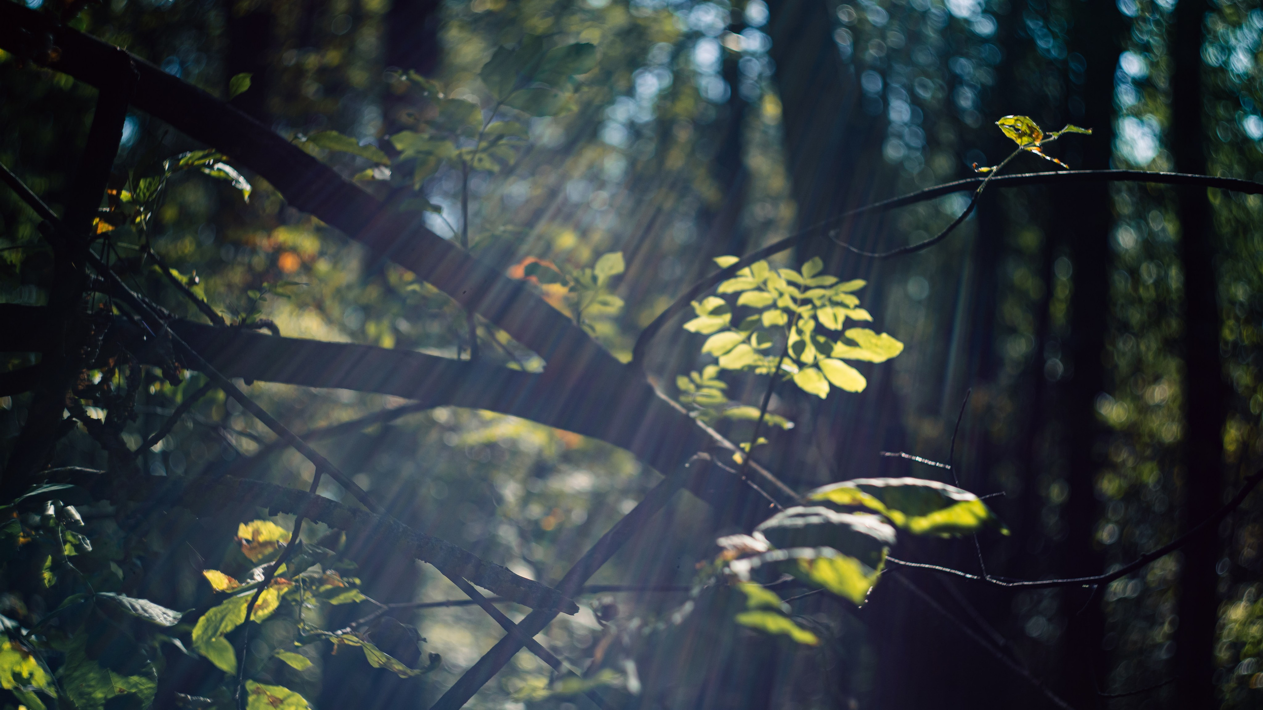 Сентябрь 2024. Efremovaphoto.ru