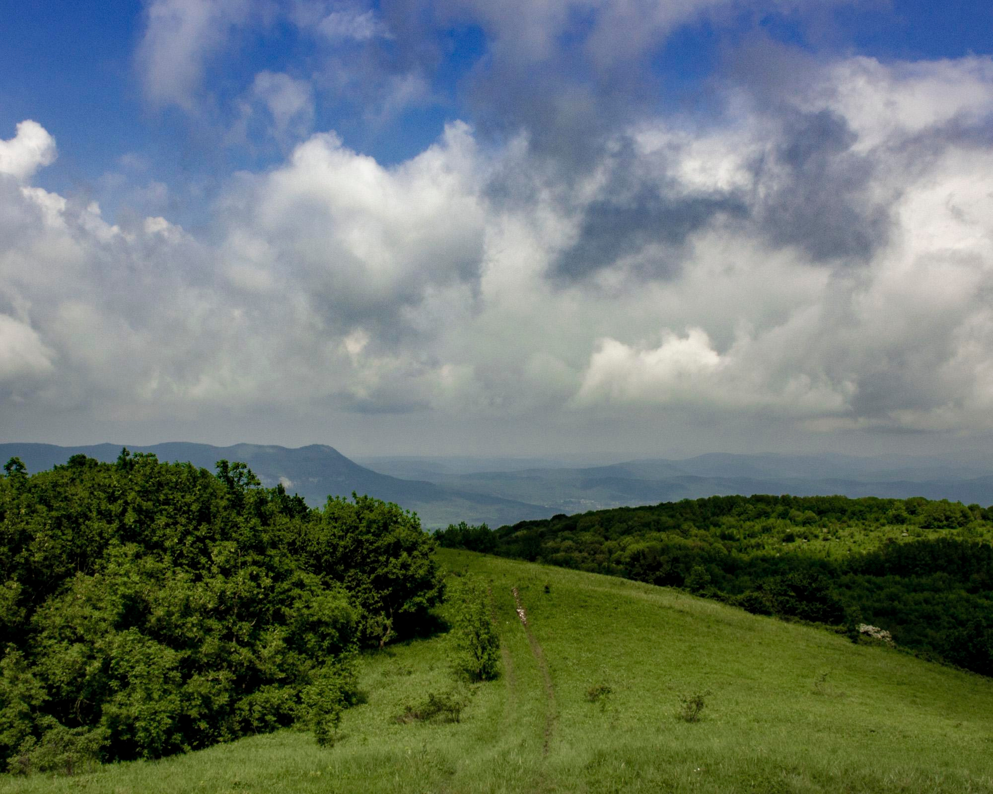 Природа. Николай Битхат — фотограф