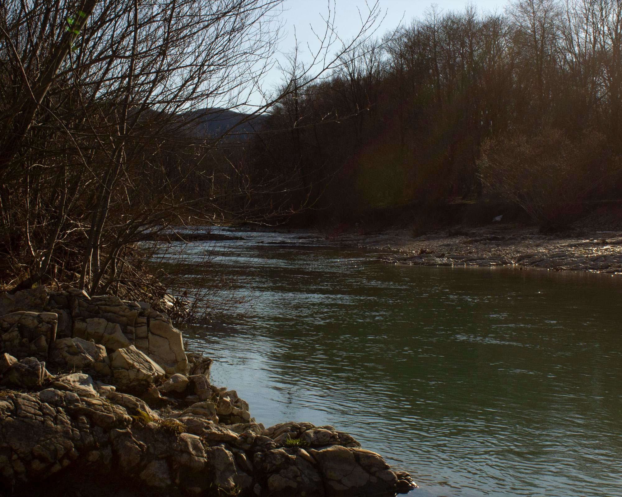 Природа. Николай Битхат — фотограф