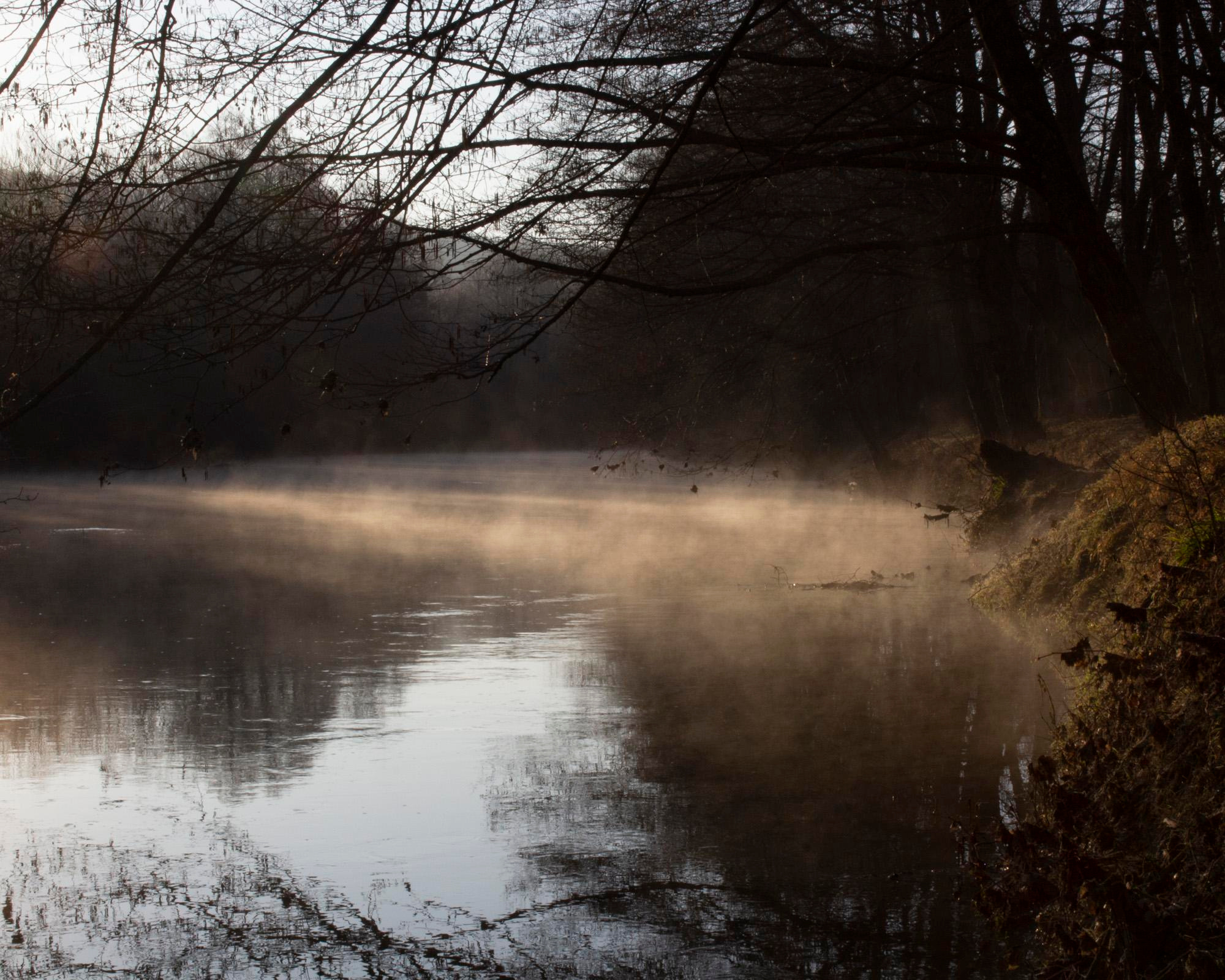 Природа. Николай Битхат — фотограф