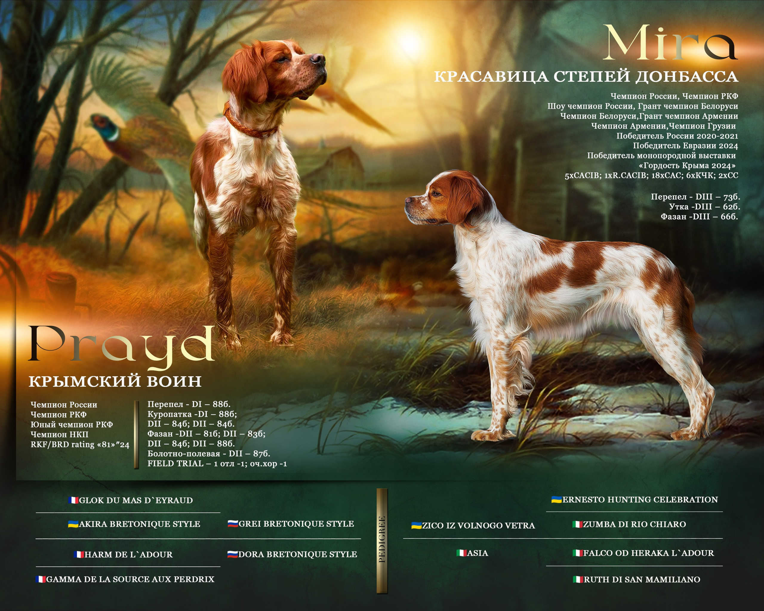 Презентация. Фотограф