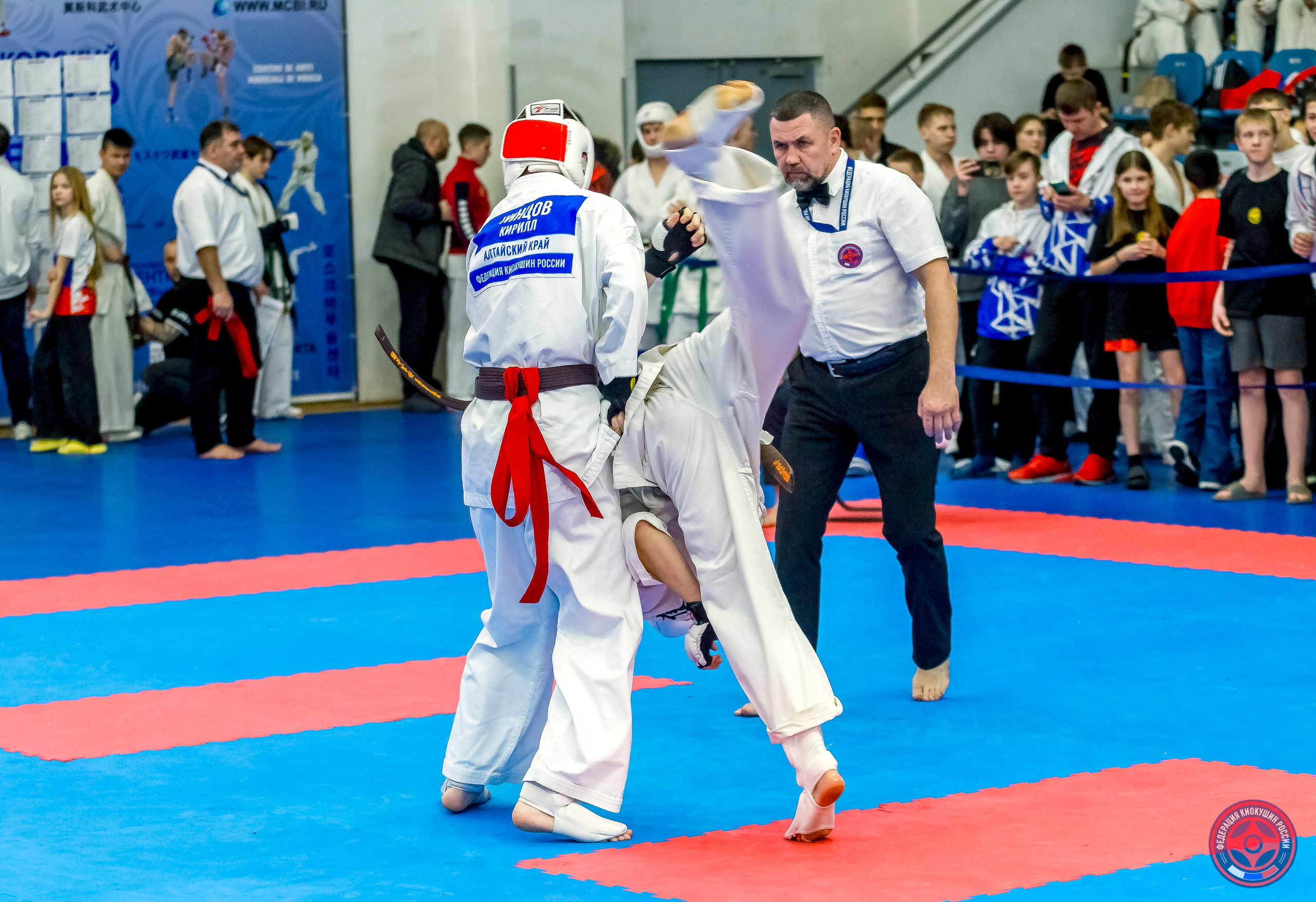 Международный турнир по киокушин «Открытый кубок Seiken». Репортажная съемка в Москве и области. Анималистика