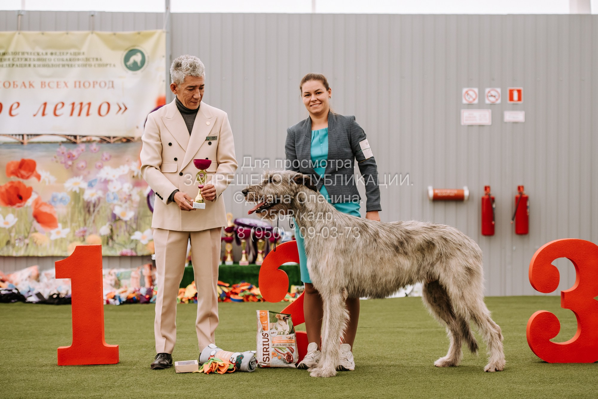 Выставка собак Красноярск 2.06. Фотограф Диана Оленина Красноярск / Братск